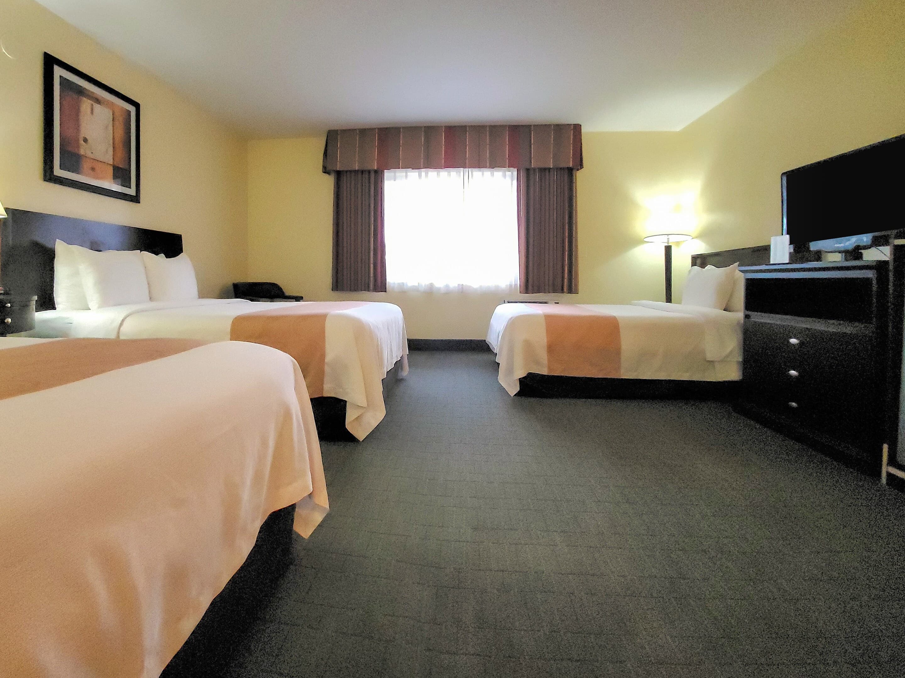 Quality Inn & Suites Anaheim at the Park — 27