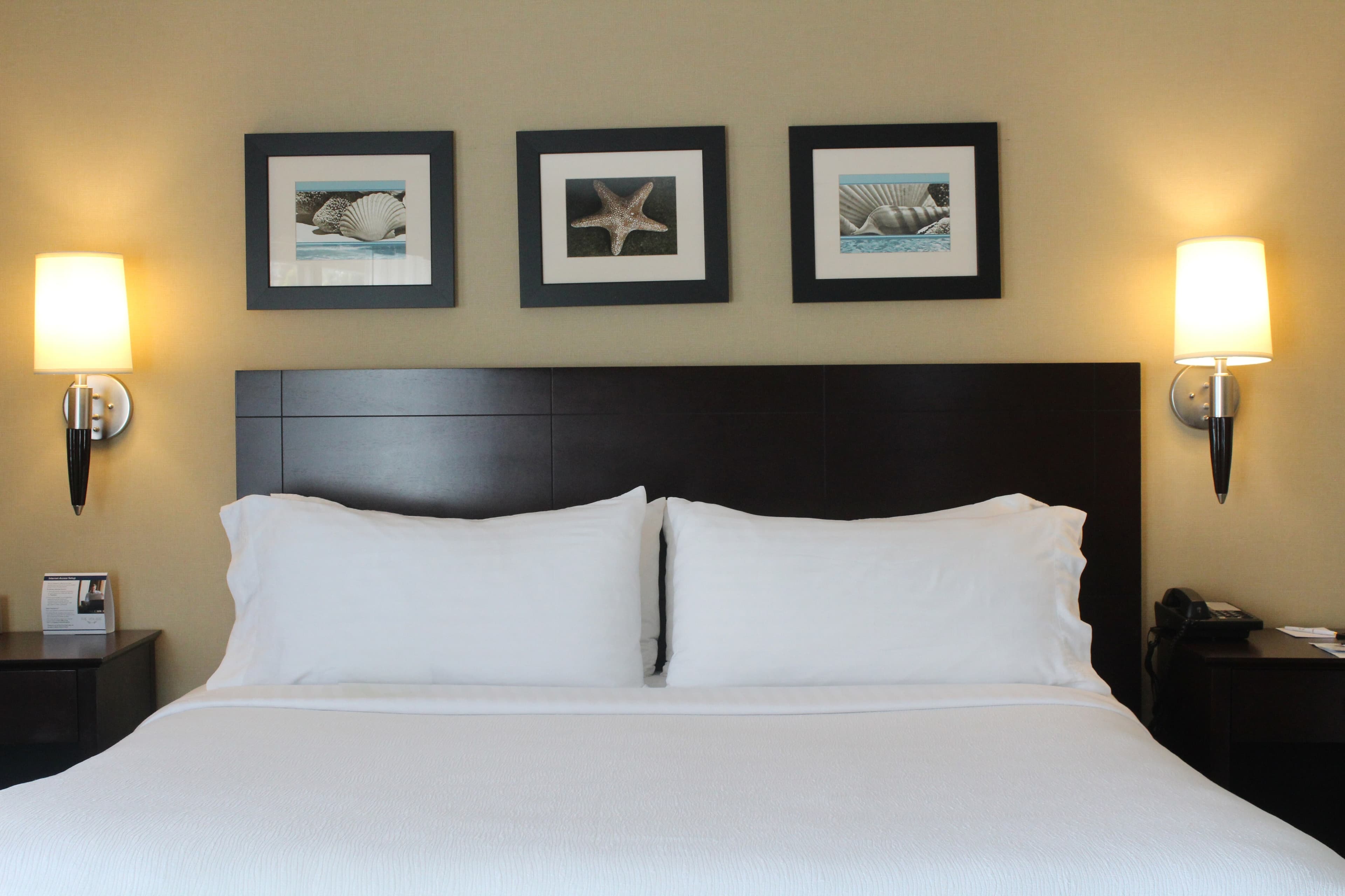 The Volare, an Ascend Collection Hotel - Image 2