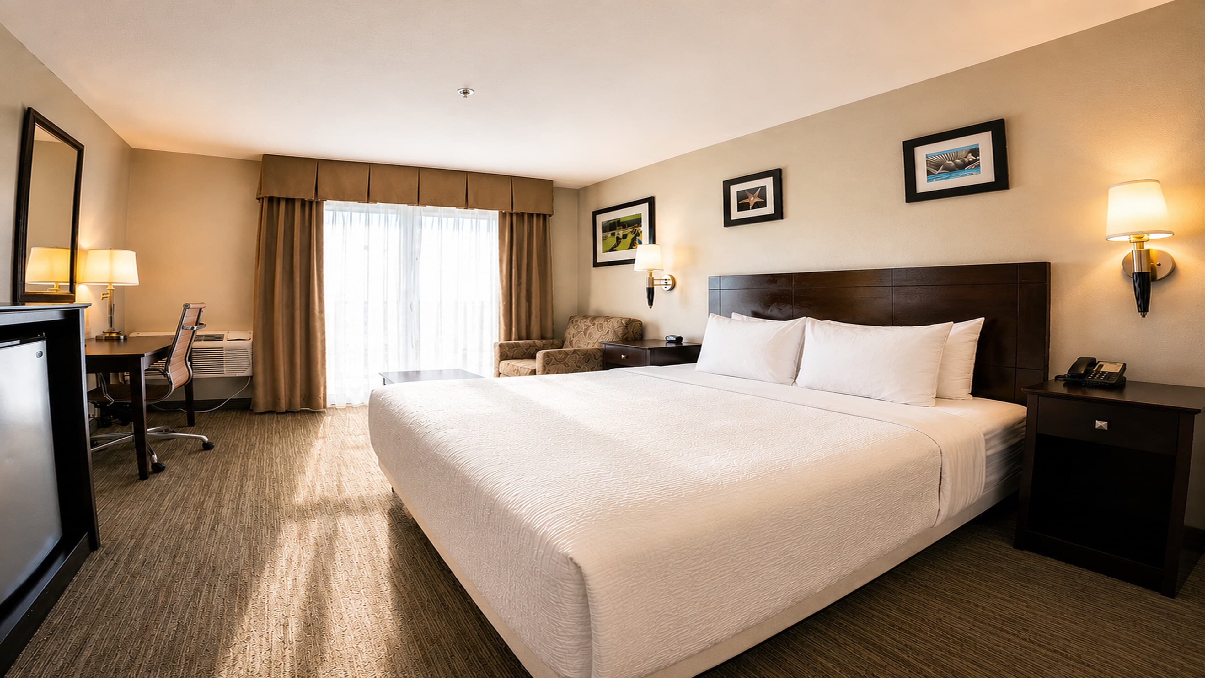 The Volare, an Ascend Collection Hotel — 3
