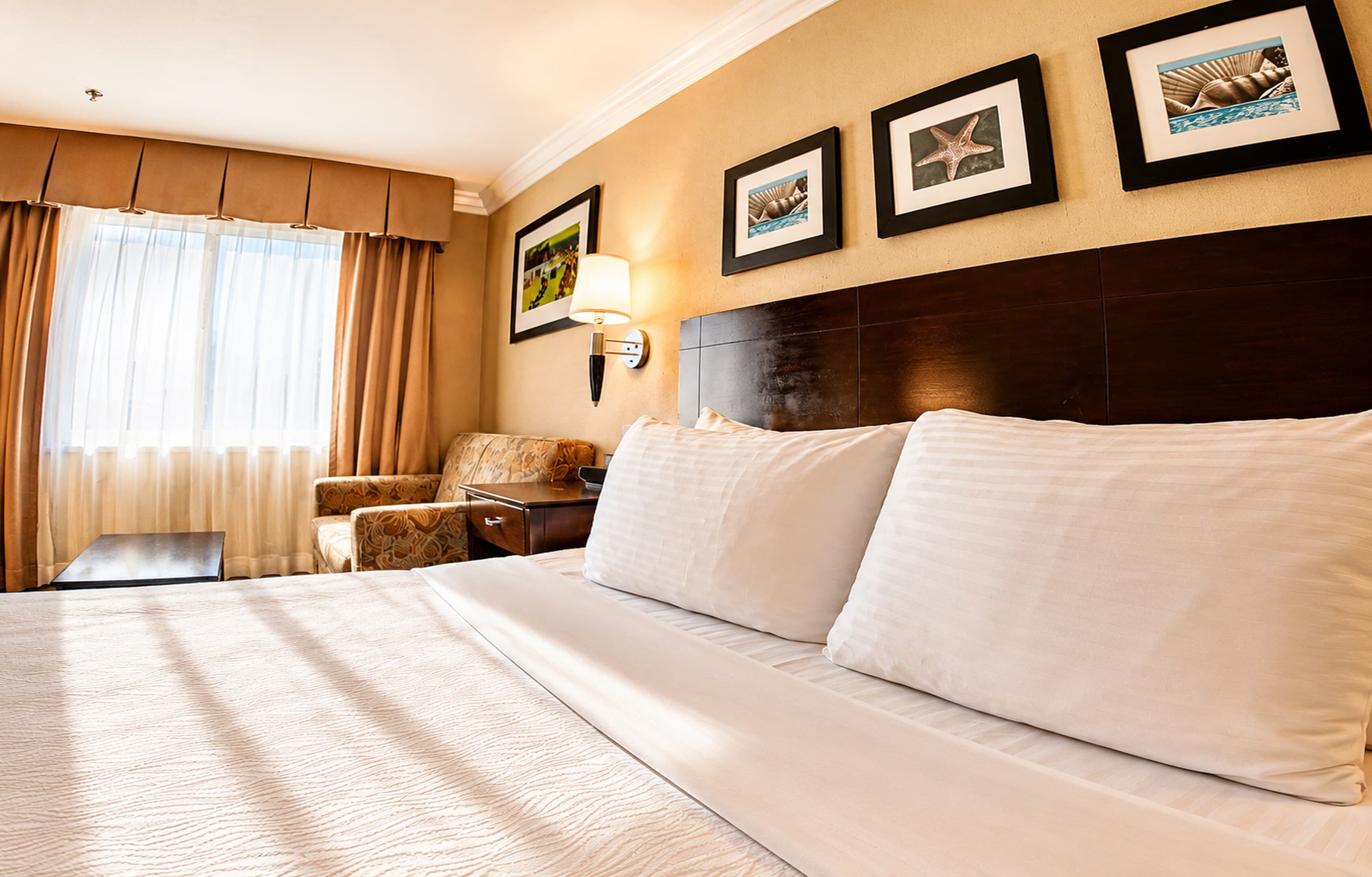 The Volare, an Ascend Collection Hotel — 5
