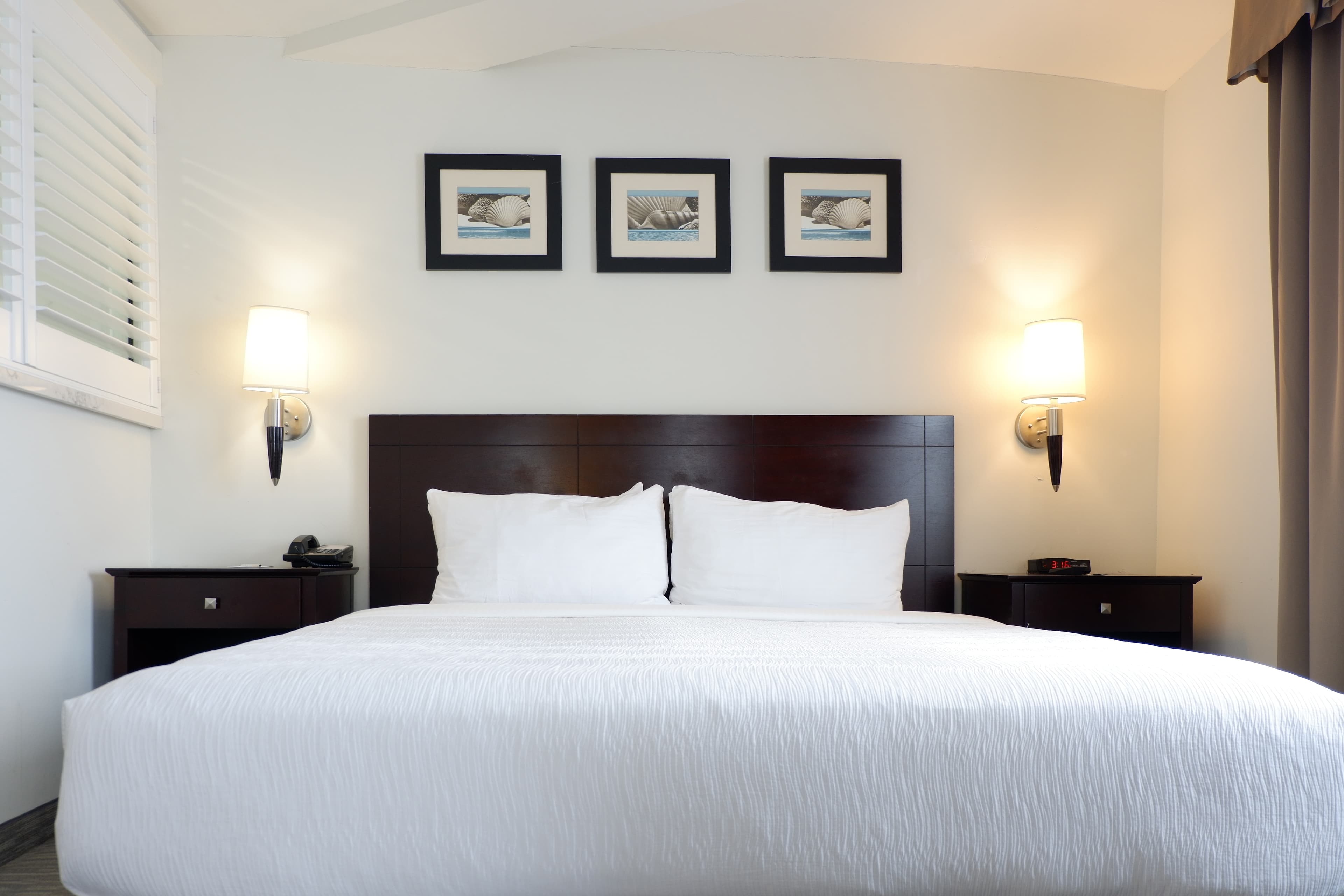 The Volare, an Ascend Collection Hotel — 22