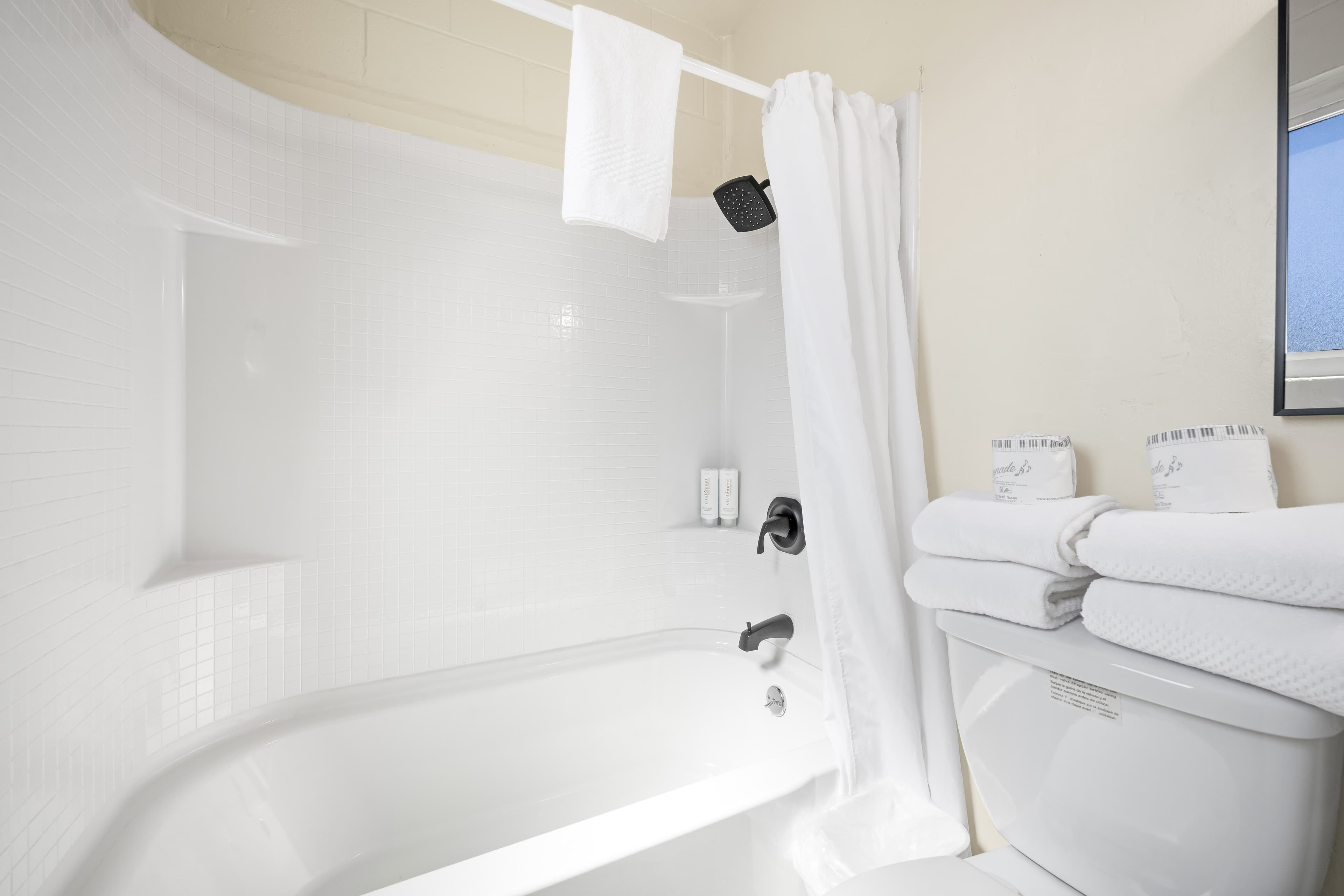 Econo Lodge Inn & Suites Heavenly Village Area — 10
