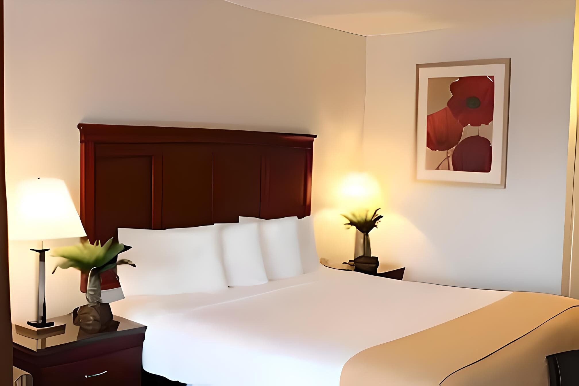 Rodeway Inn Santa Clara El Camino Real - Image 1