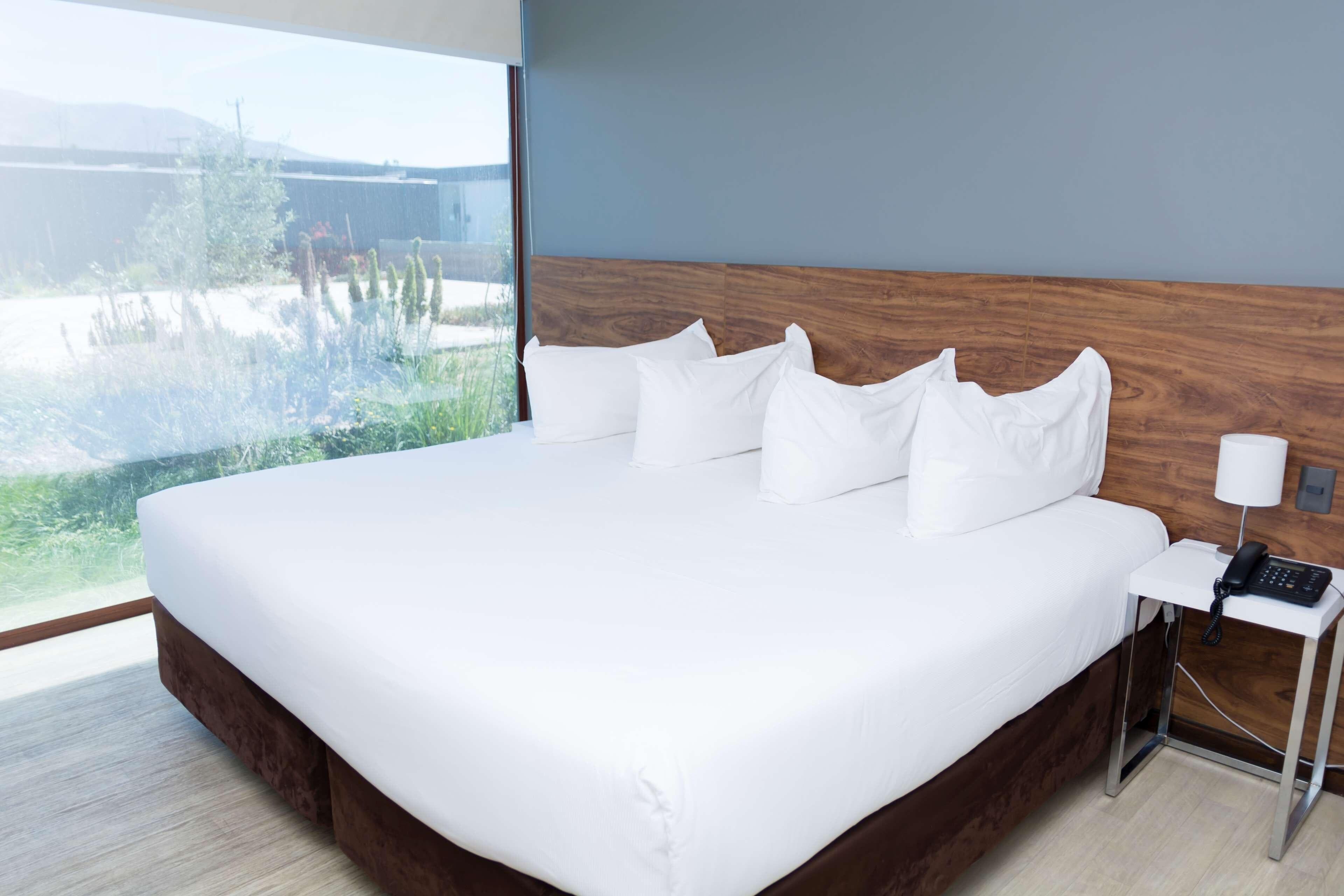 Park Inn by Radisson Los Olivos de Vallenar - Image 2