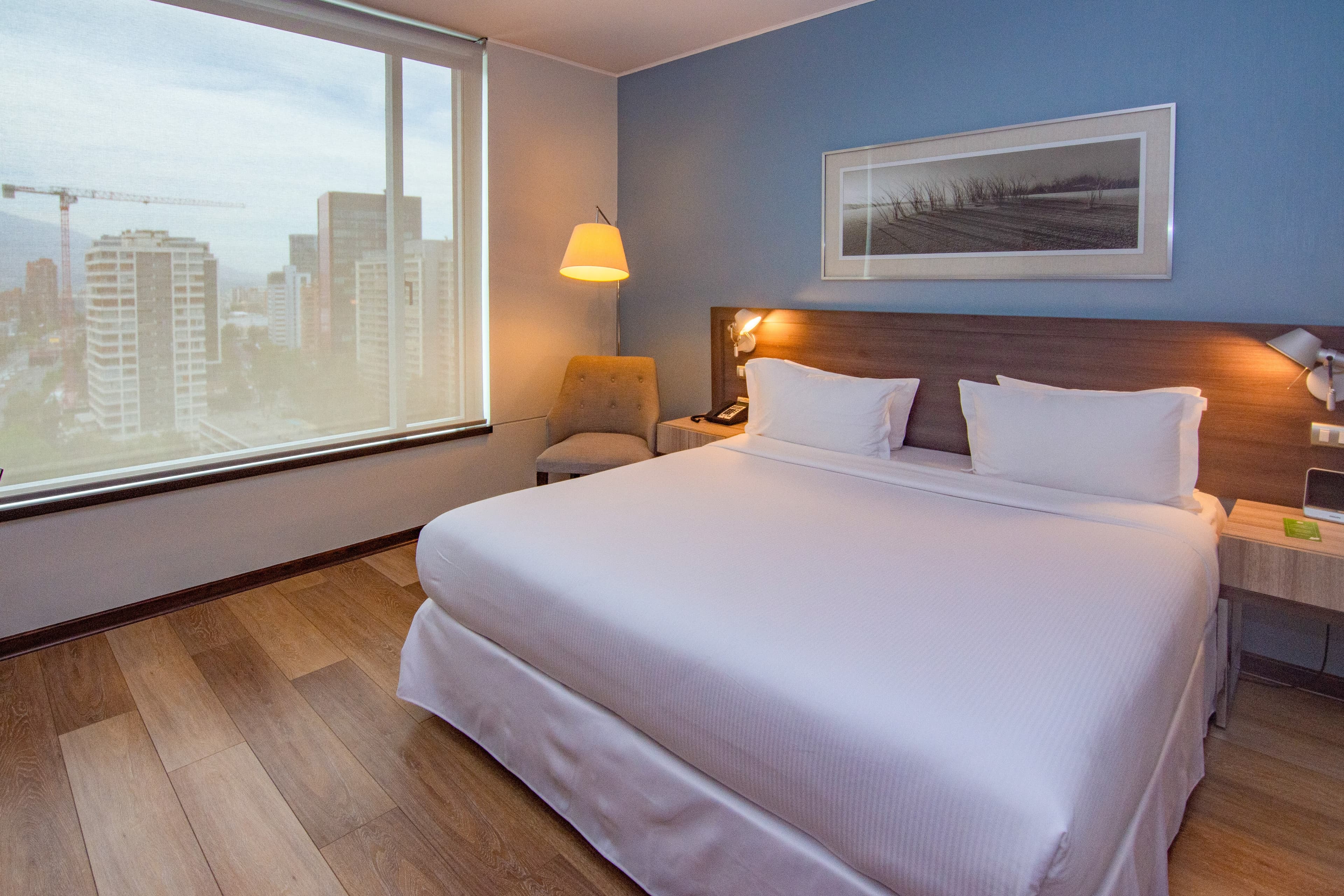 Radisson Blu Plaza El Bosque Santiago - Image 5