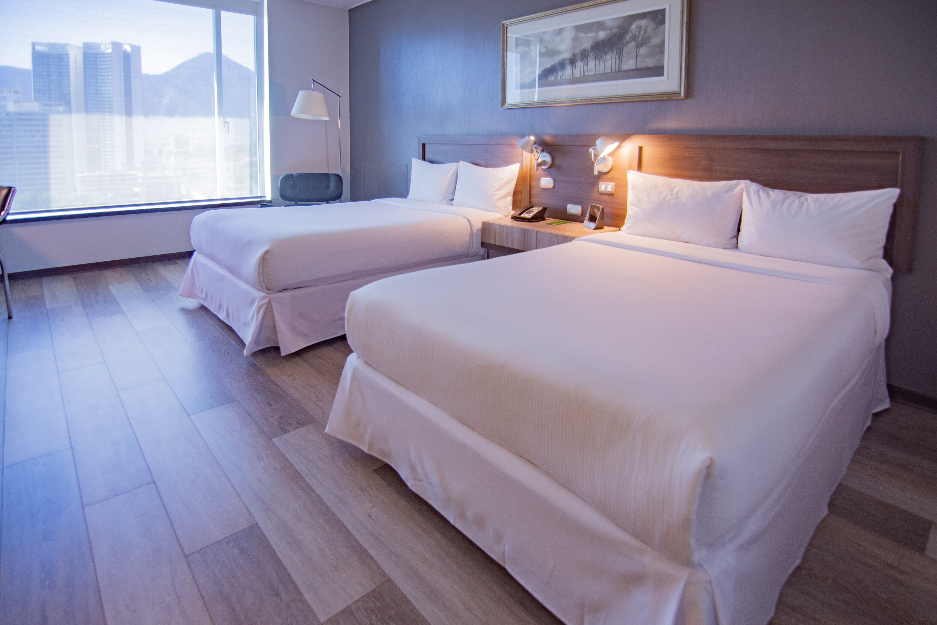 Radisson Blu Plaza El Bosque Santiago — 18