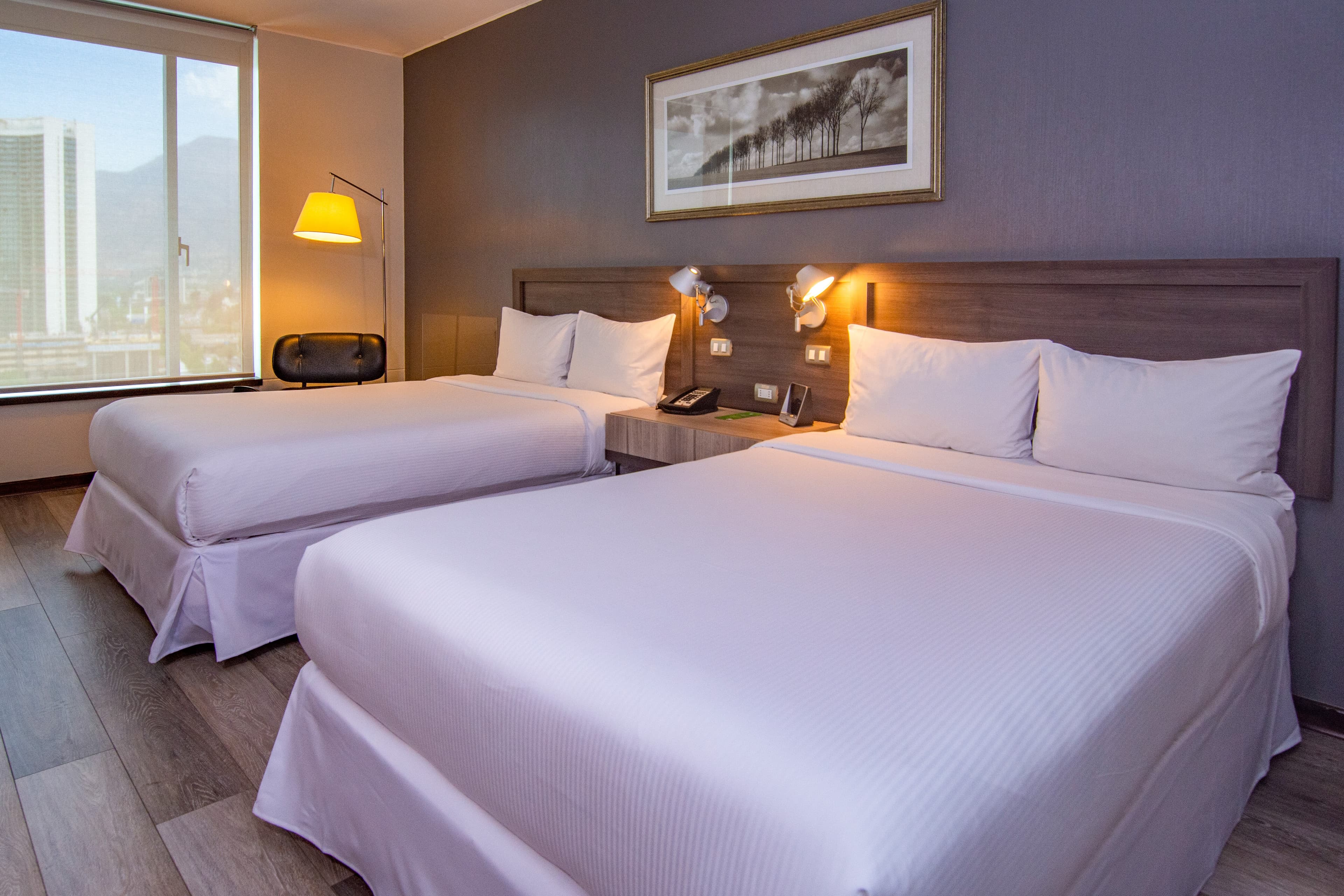 Radisson Blu Plaza El Bosque Santiago — 19