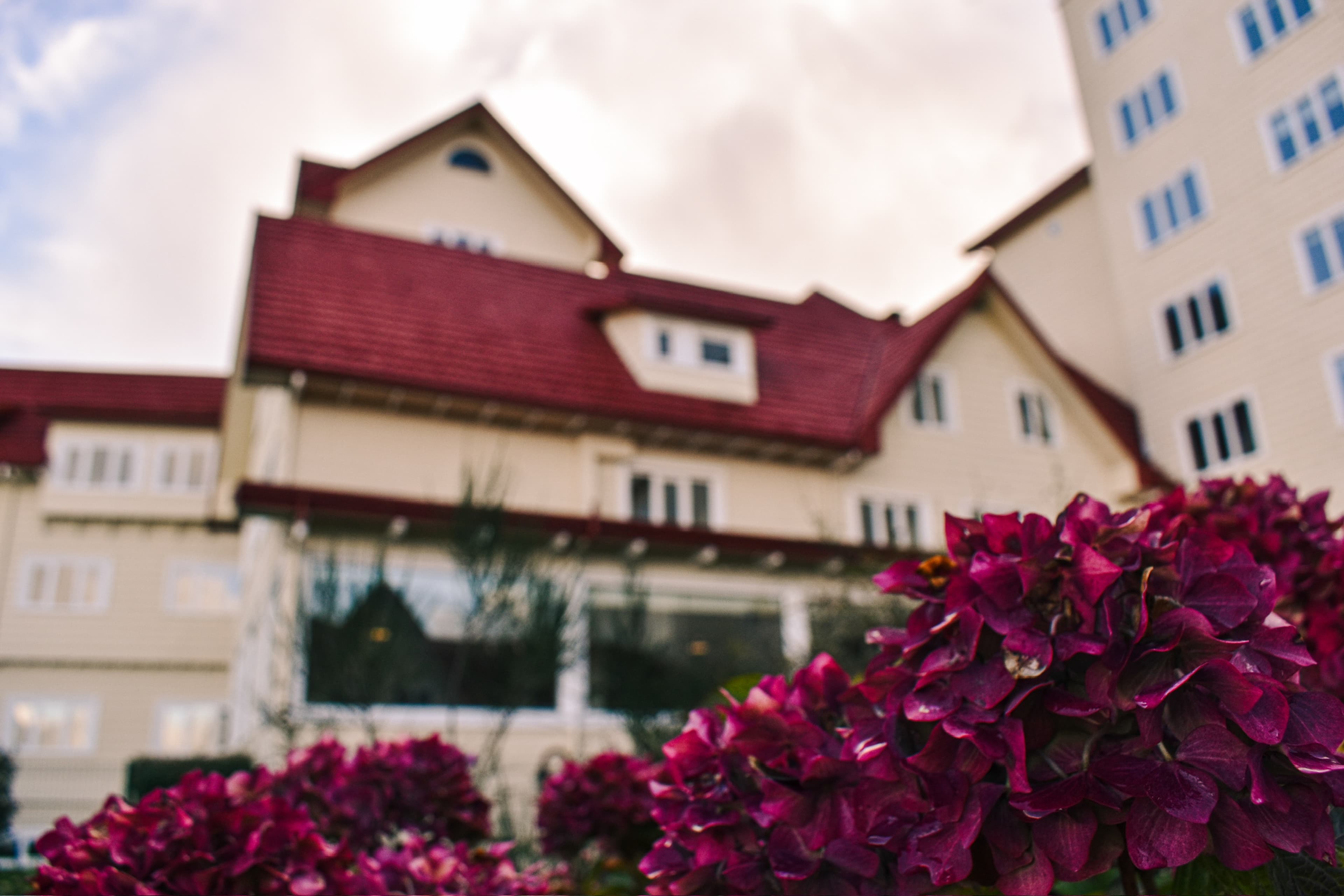 Park Inn by Radisson, Puerto Varas - Image 1