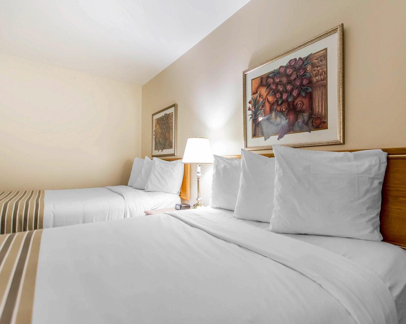 Econo Lodge — 7