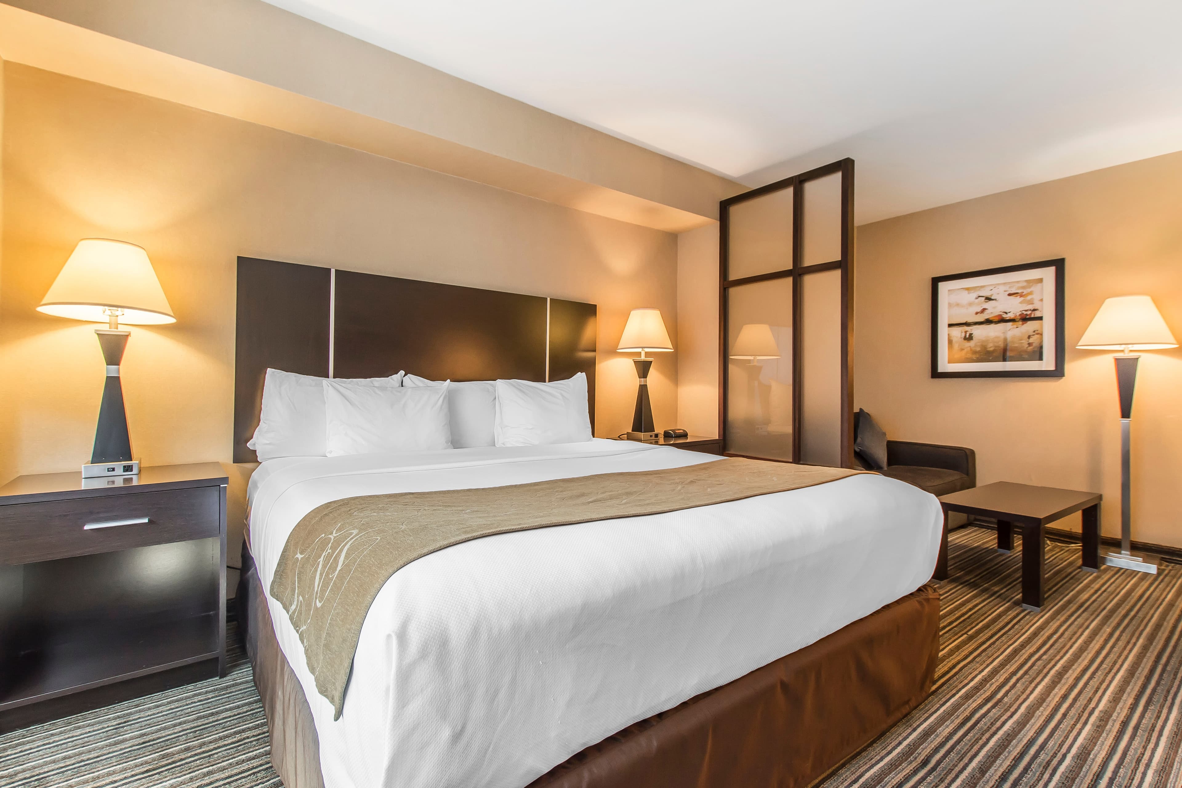 Comfort Suites Downtown - Image 3