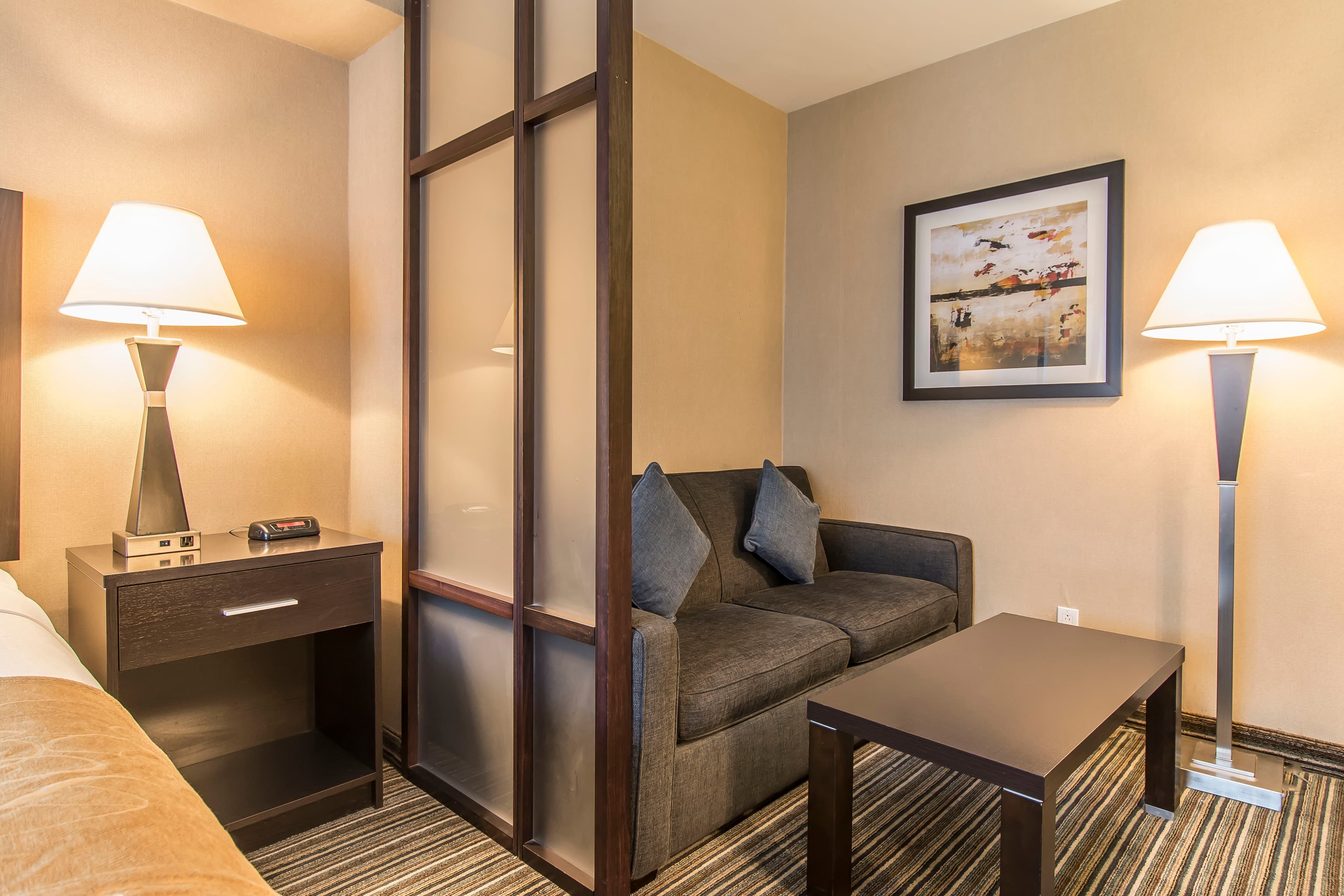 Comfort Suites Downtown - Image 4