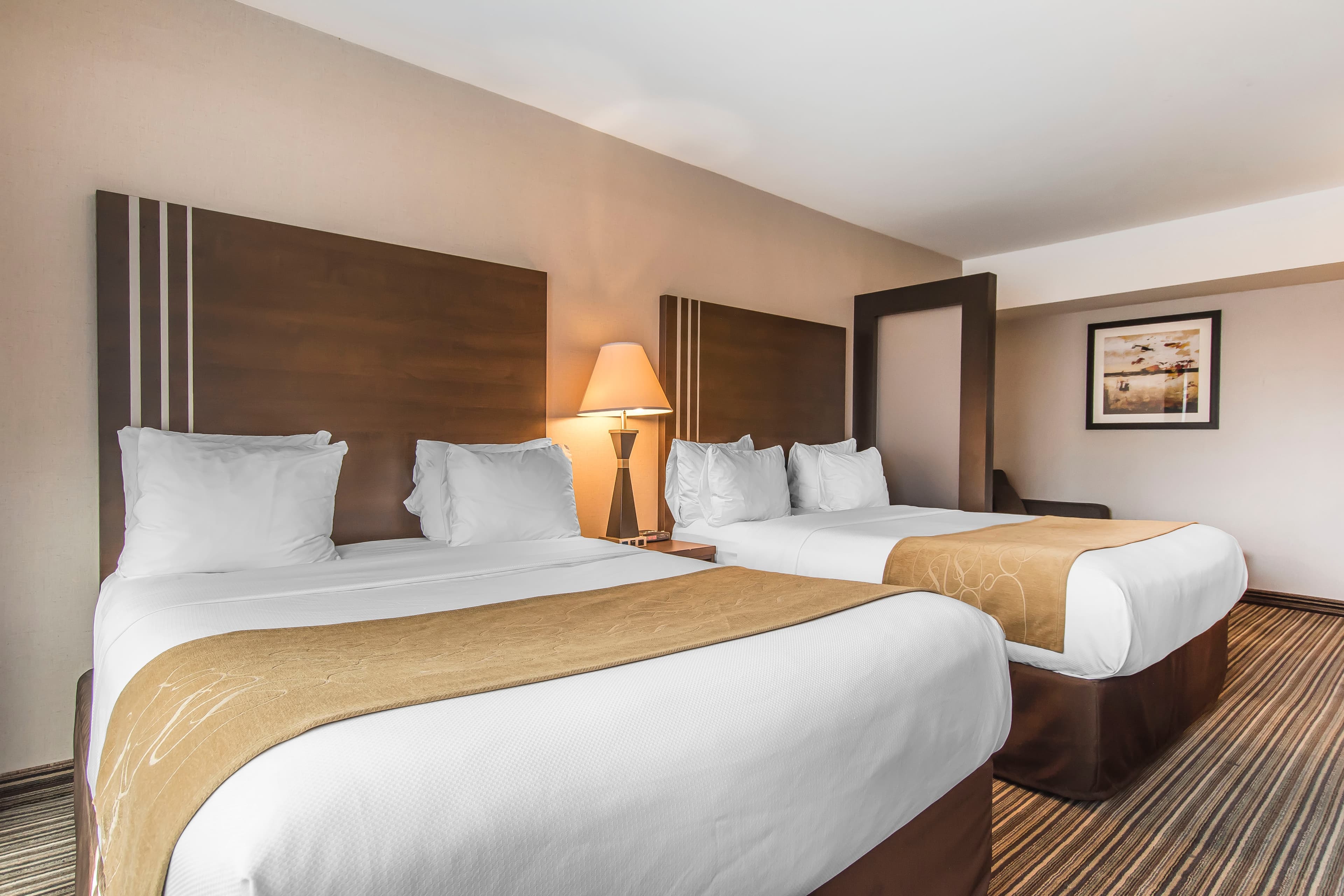 Comfort Suites Downtown — 14