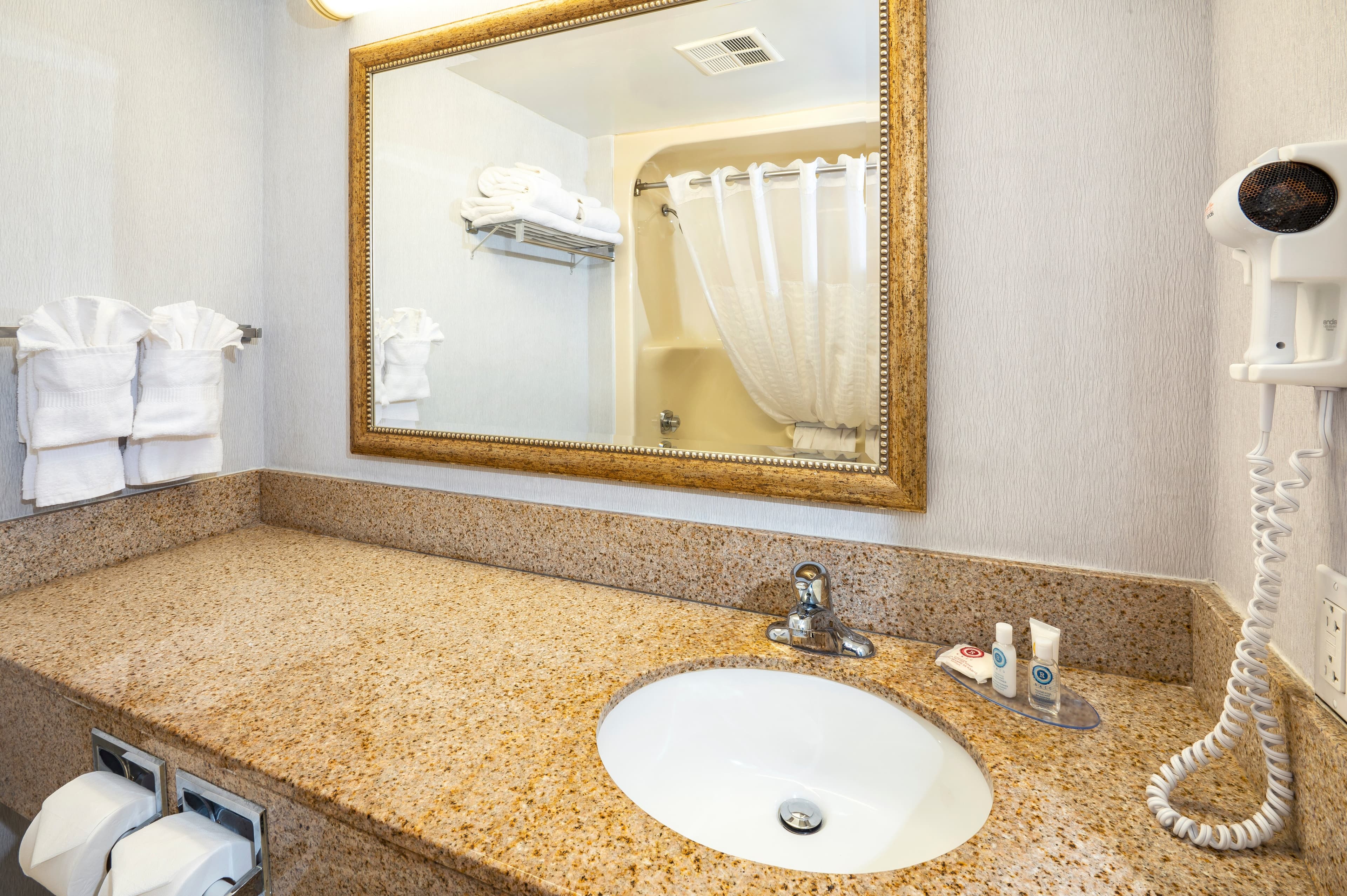 Comfort Hotel & Suites - Image 3