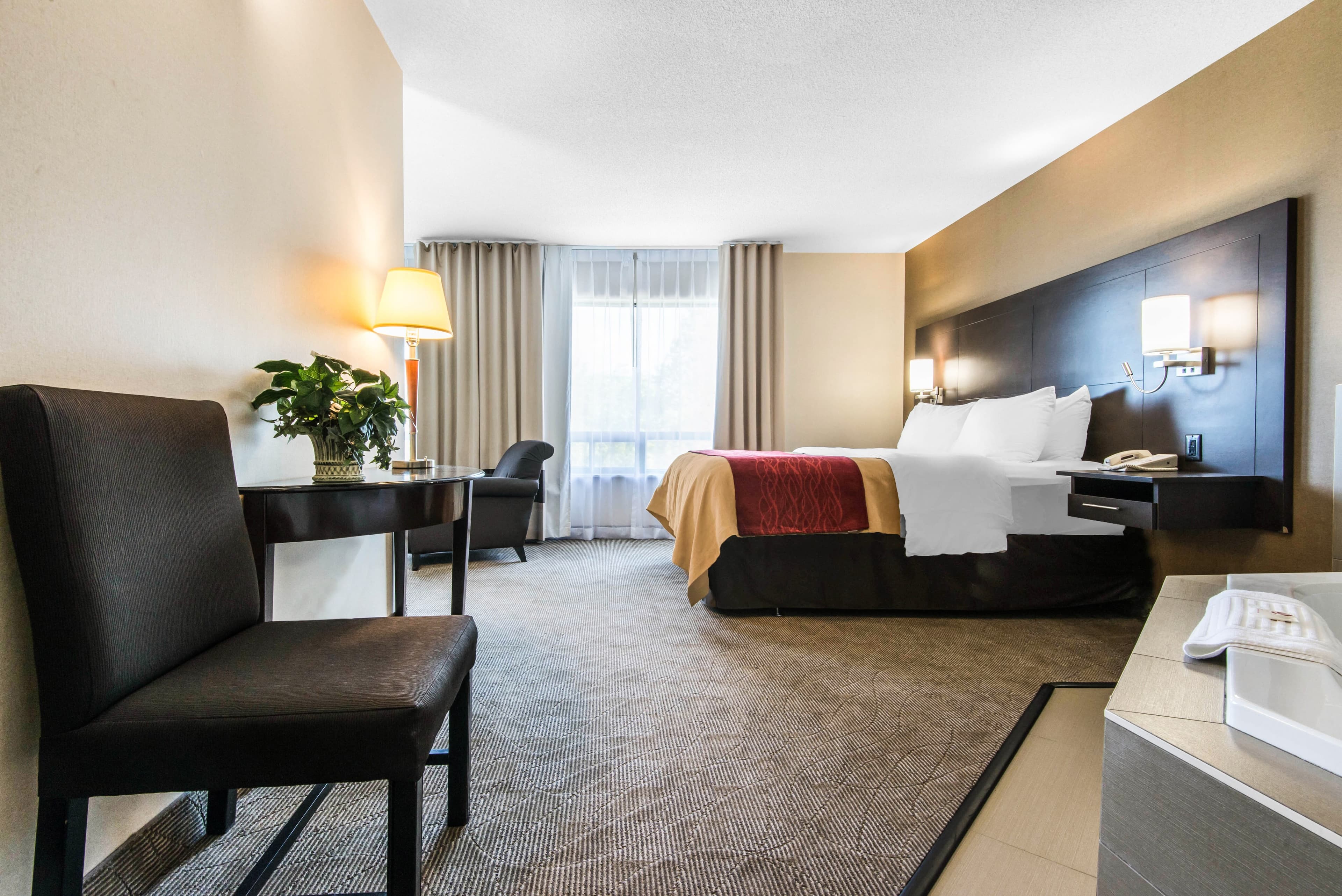 Comfort Inn — 19