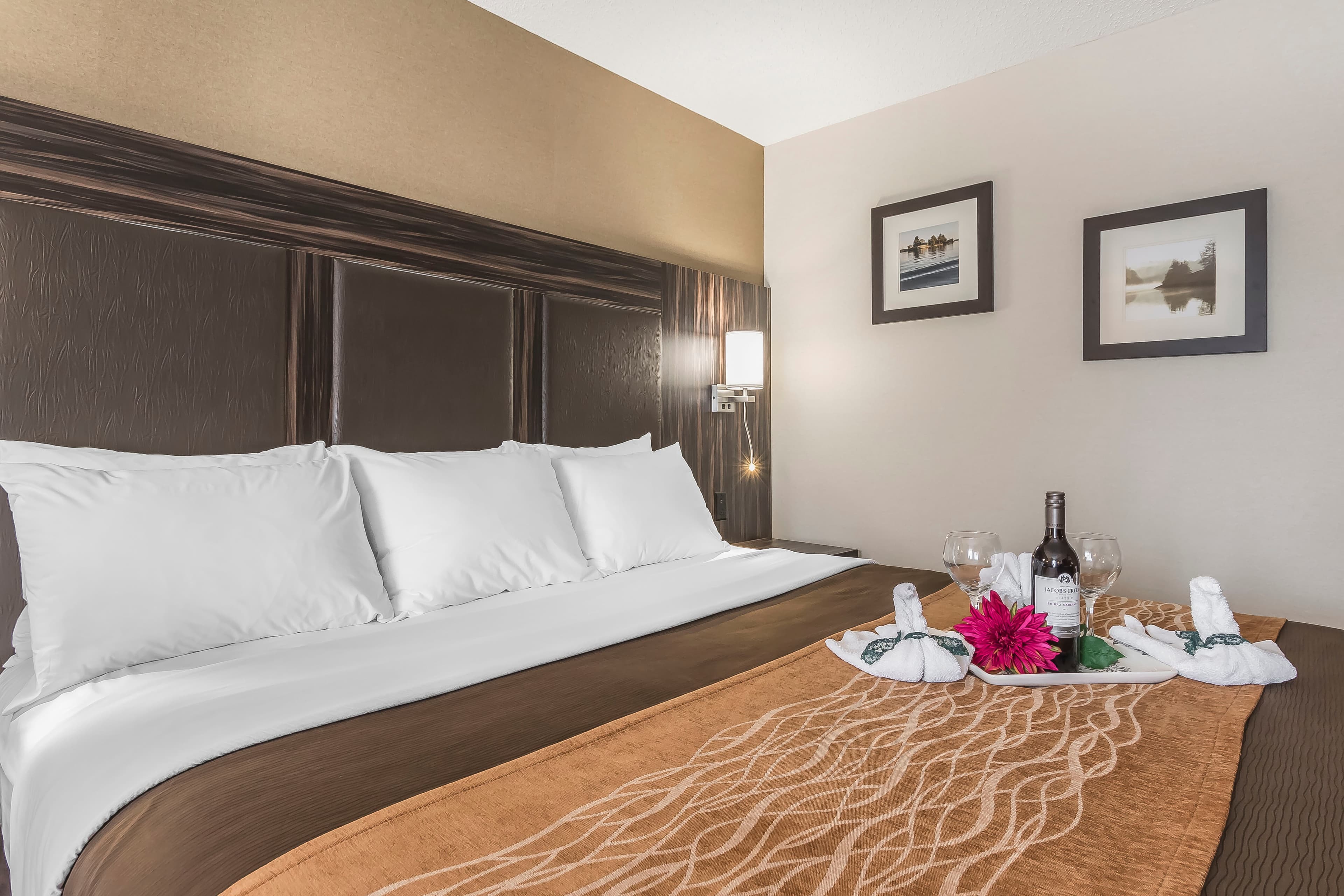 Comfort Inn — 10