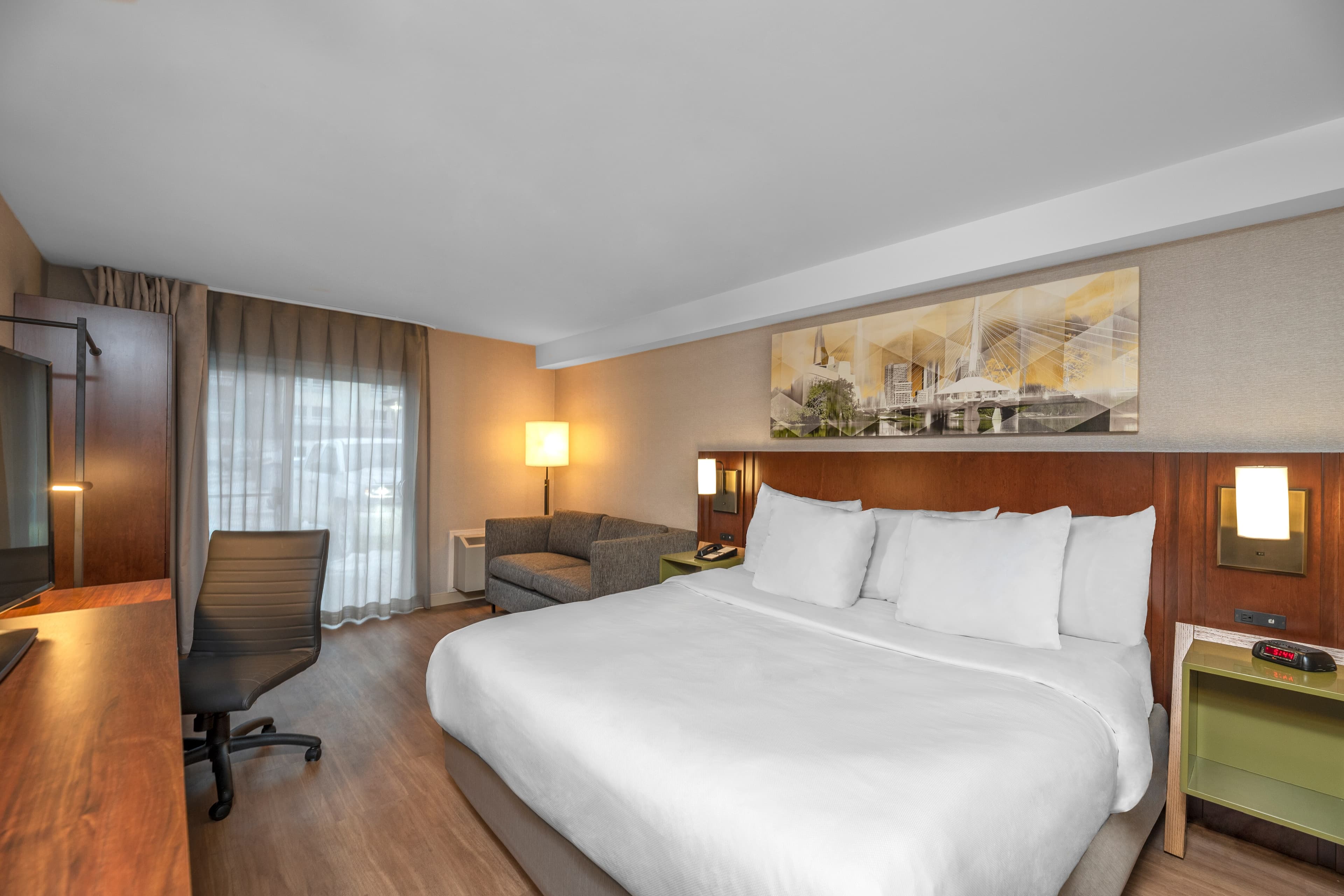 Comfort Inn South — 21