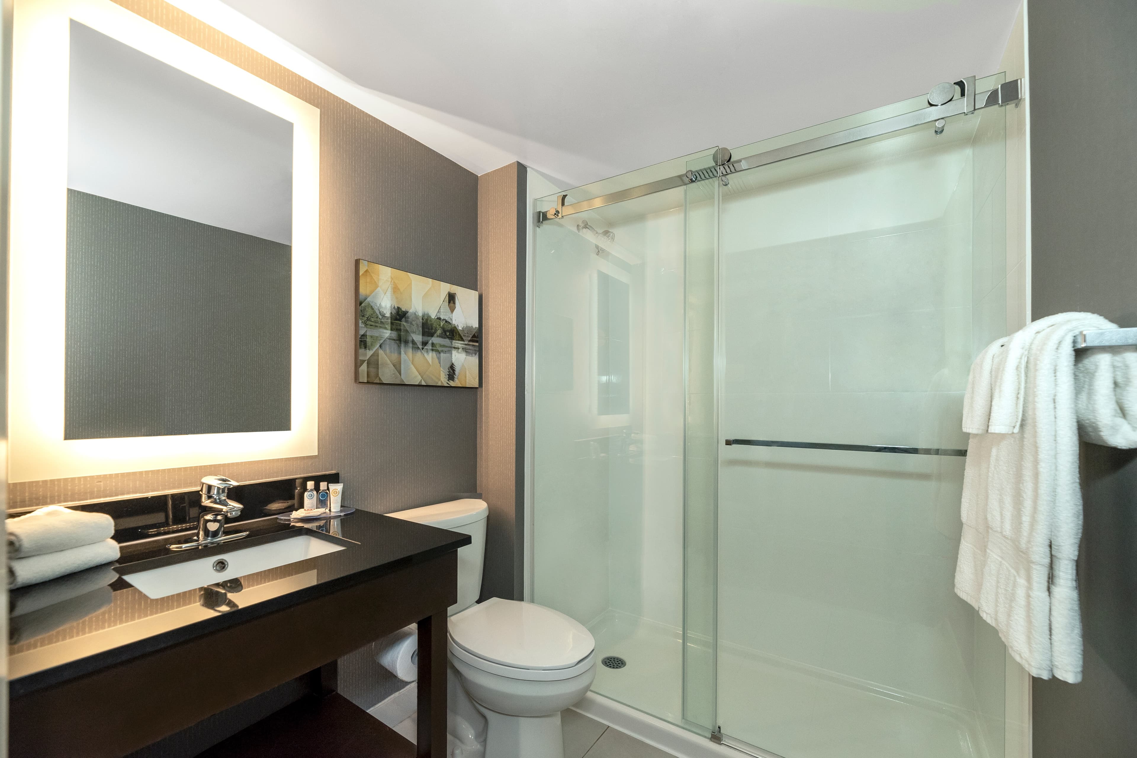 Comfort Inn South — 20
