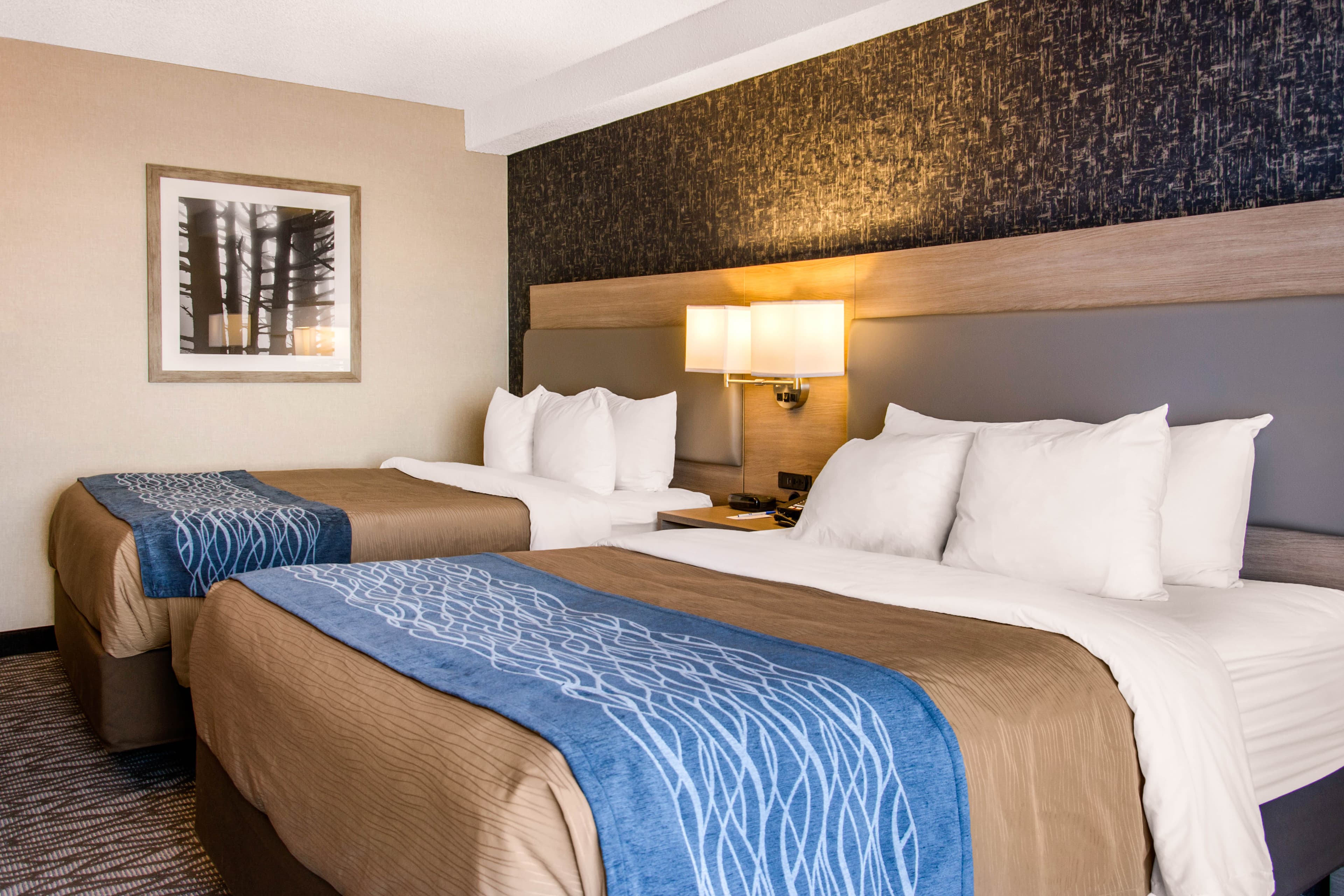 Comfort Inn Aeroport - Image 3