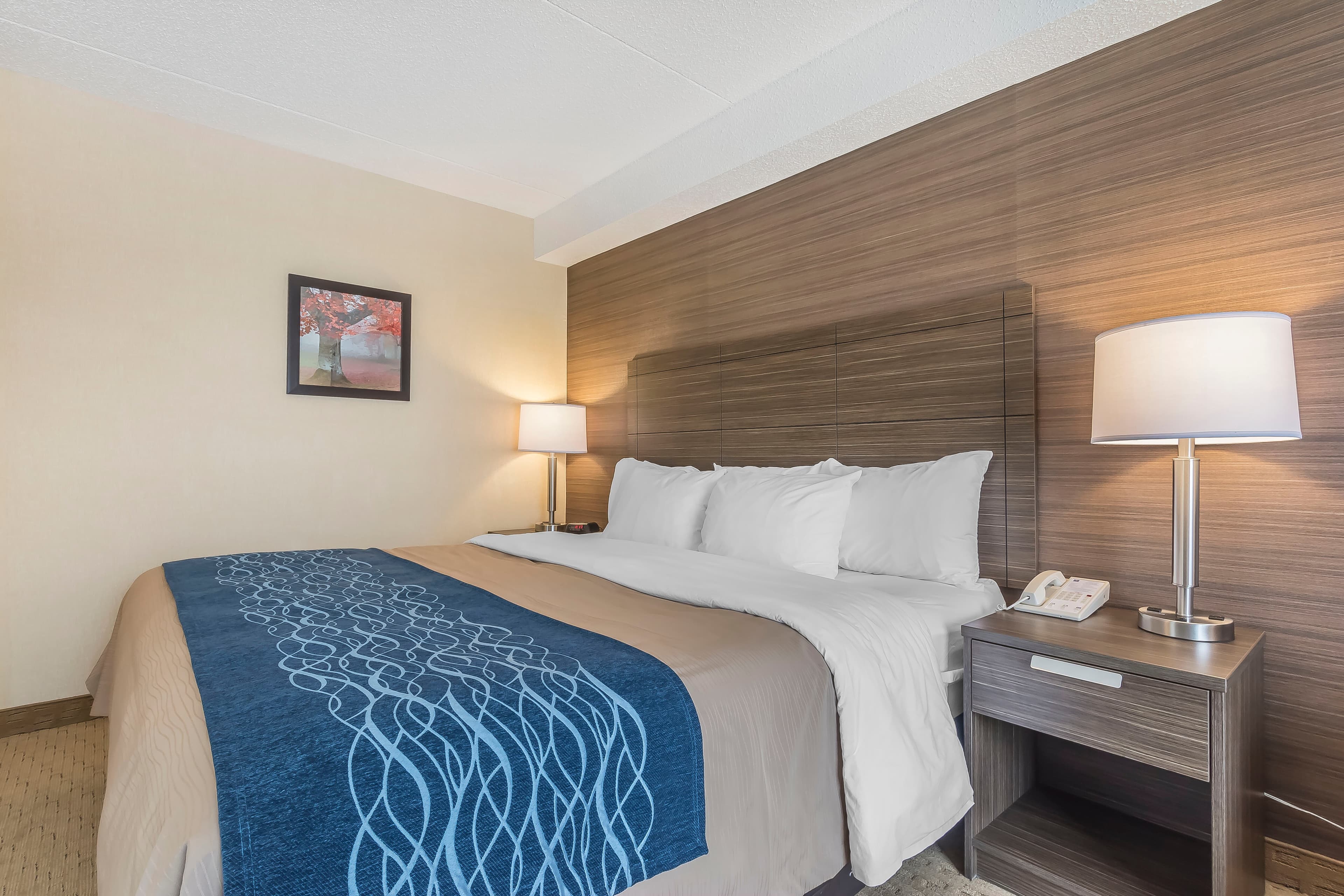 Comfort Inn — 6