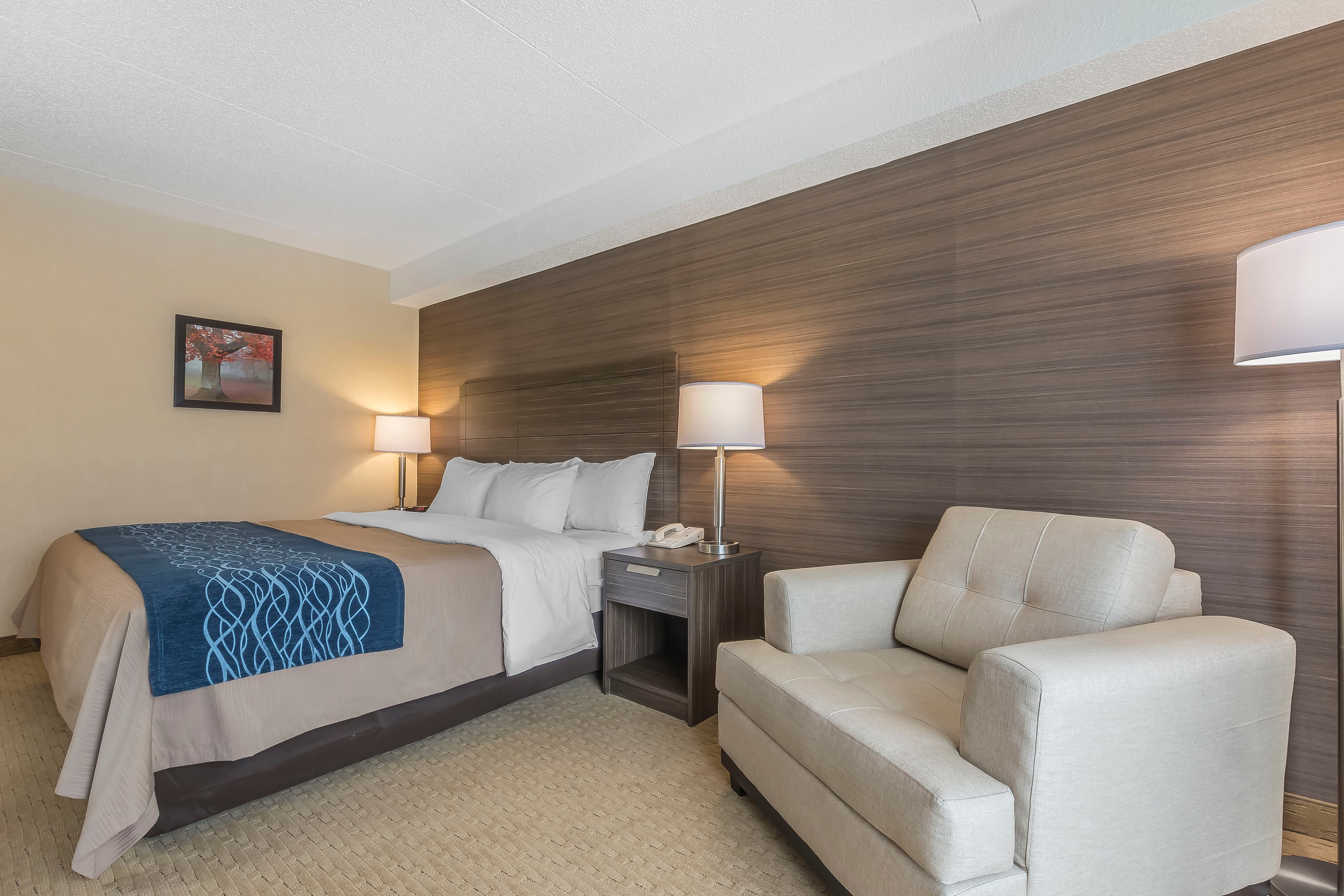 Comfort Inn — 7