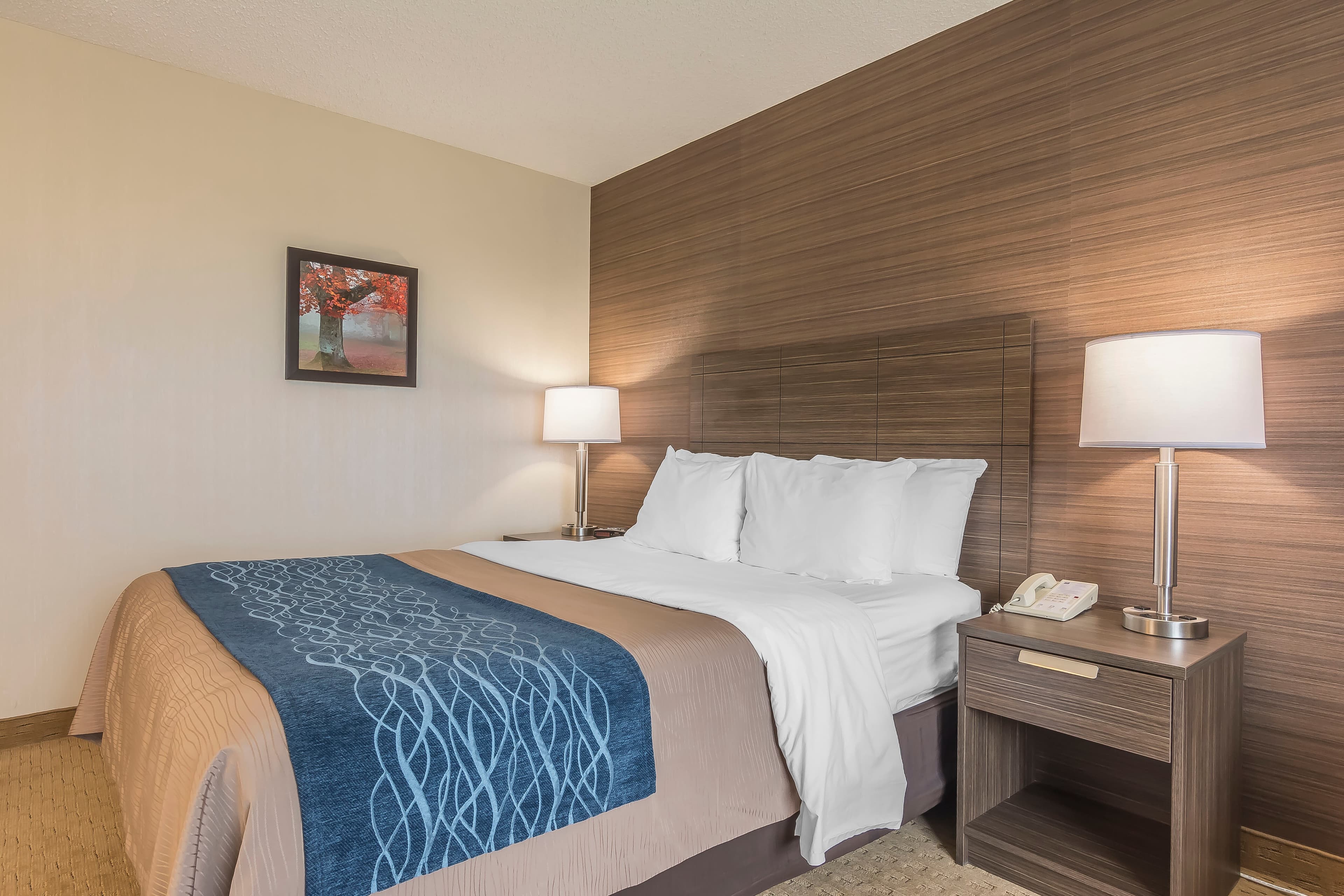Comfort Inn — 10
