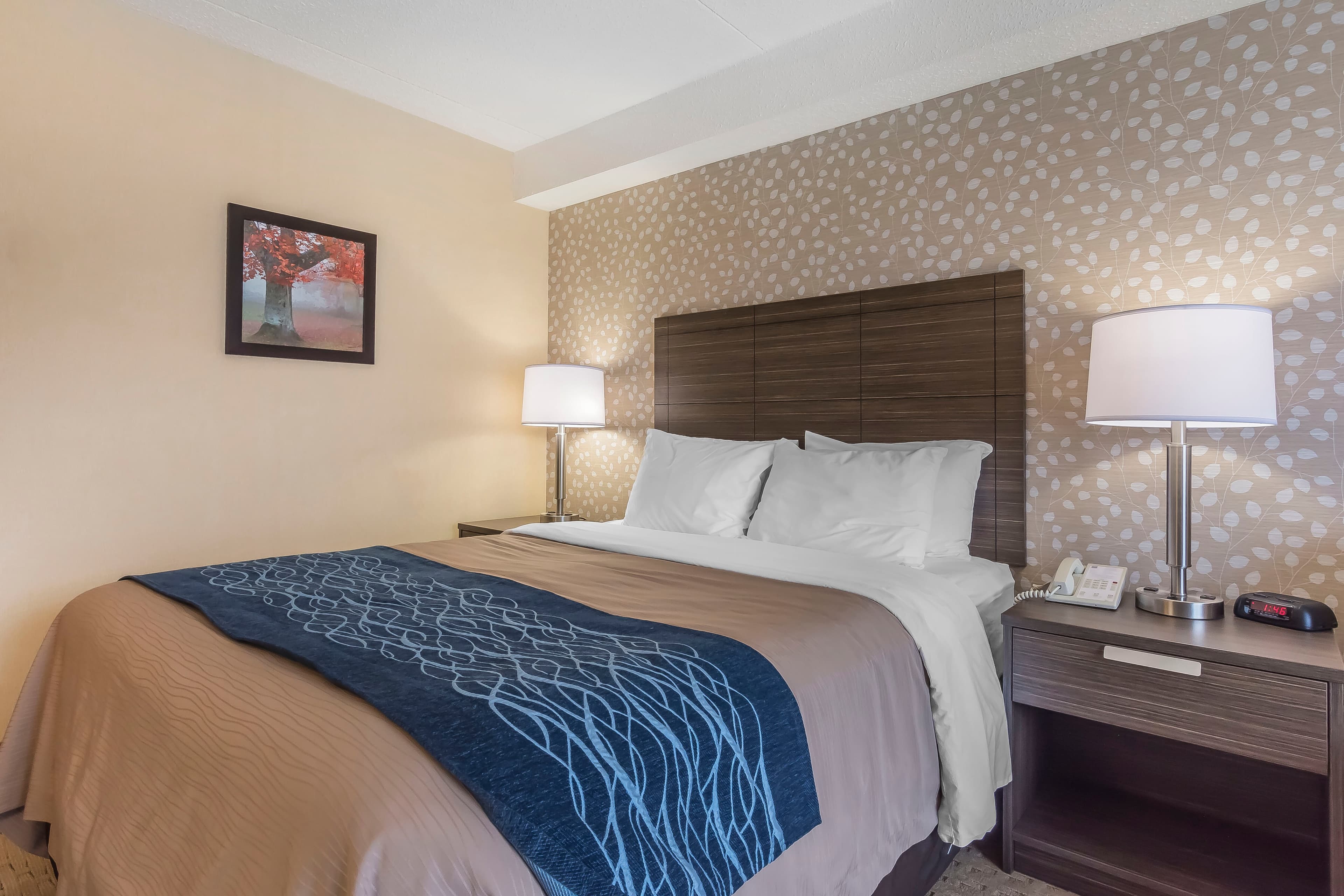 Comfort Inn - Image 3
