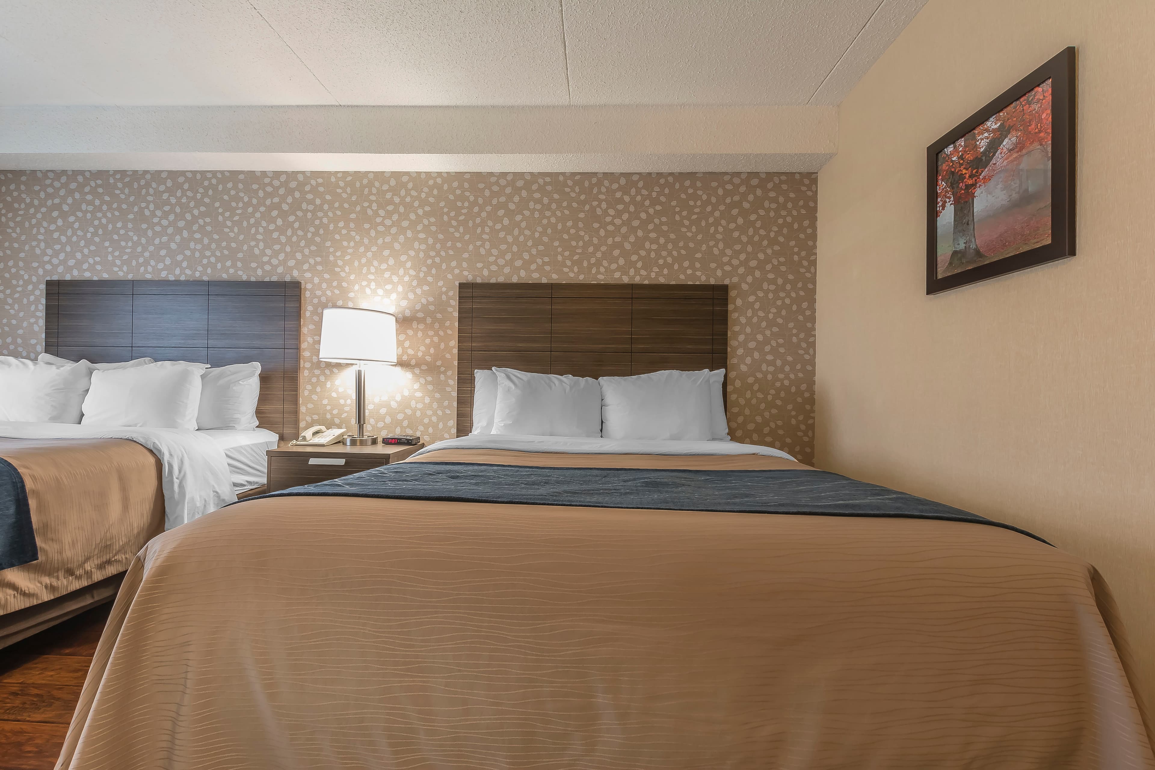 Comfort Inn — 23