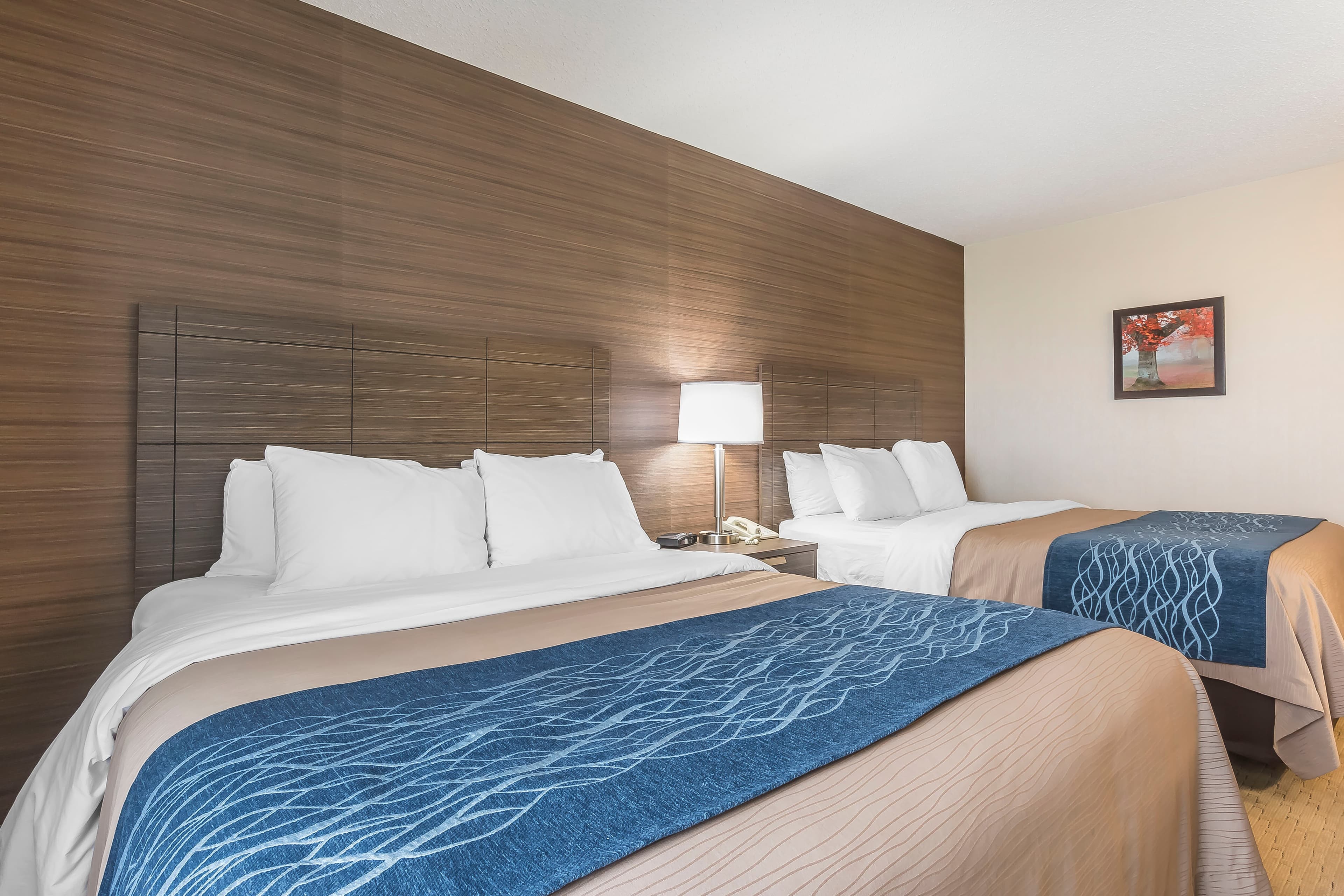 Comfort Inn — 24