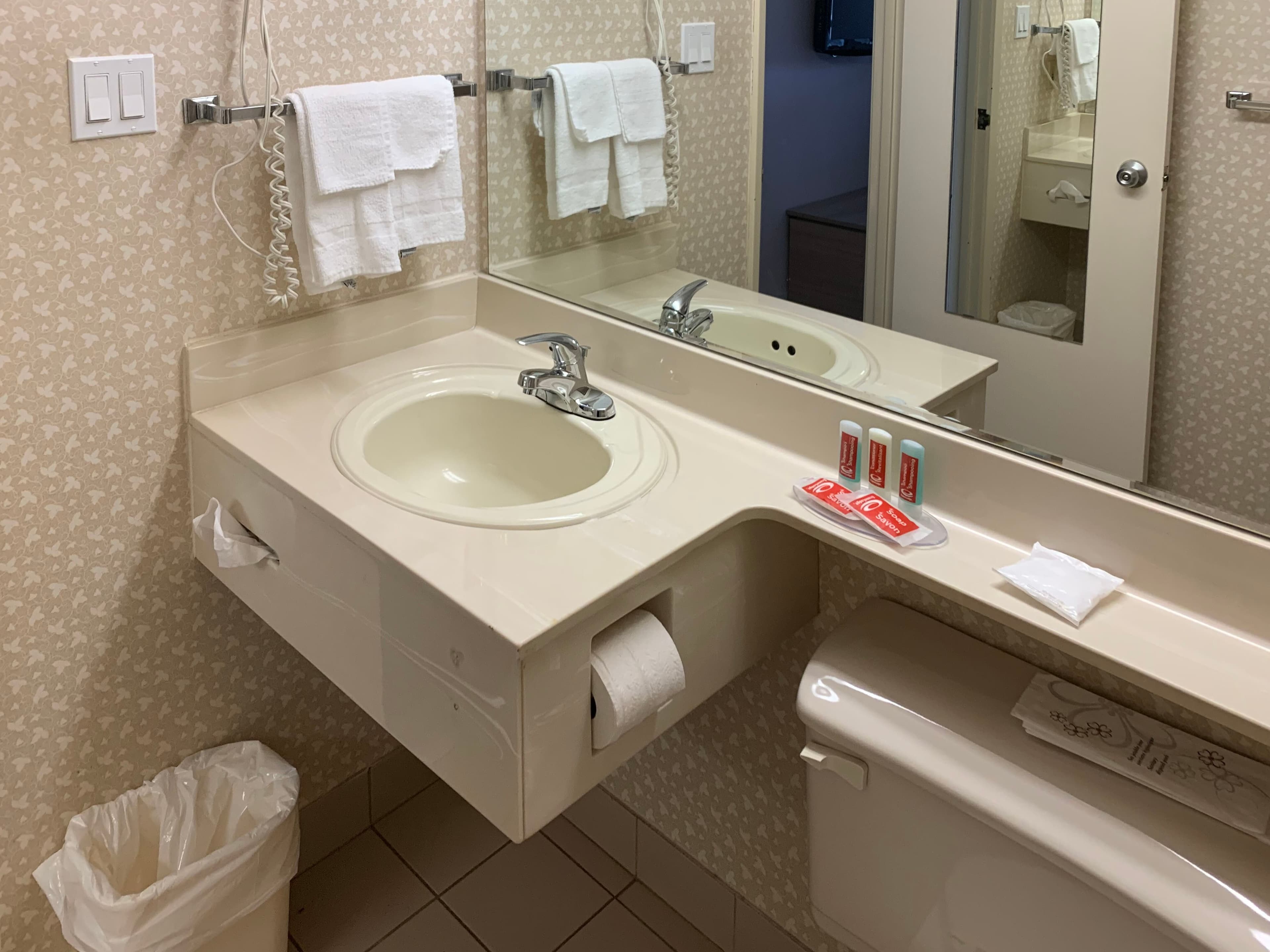 Econo Lodge Airport — 15