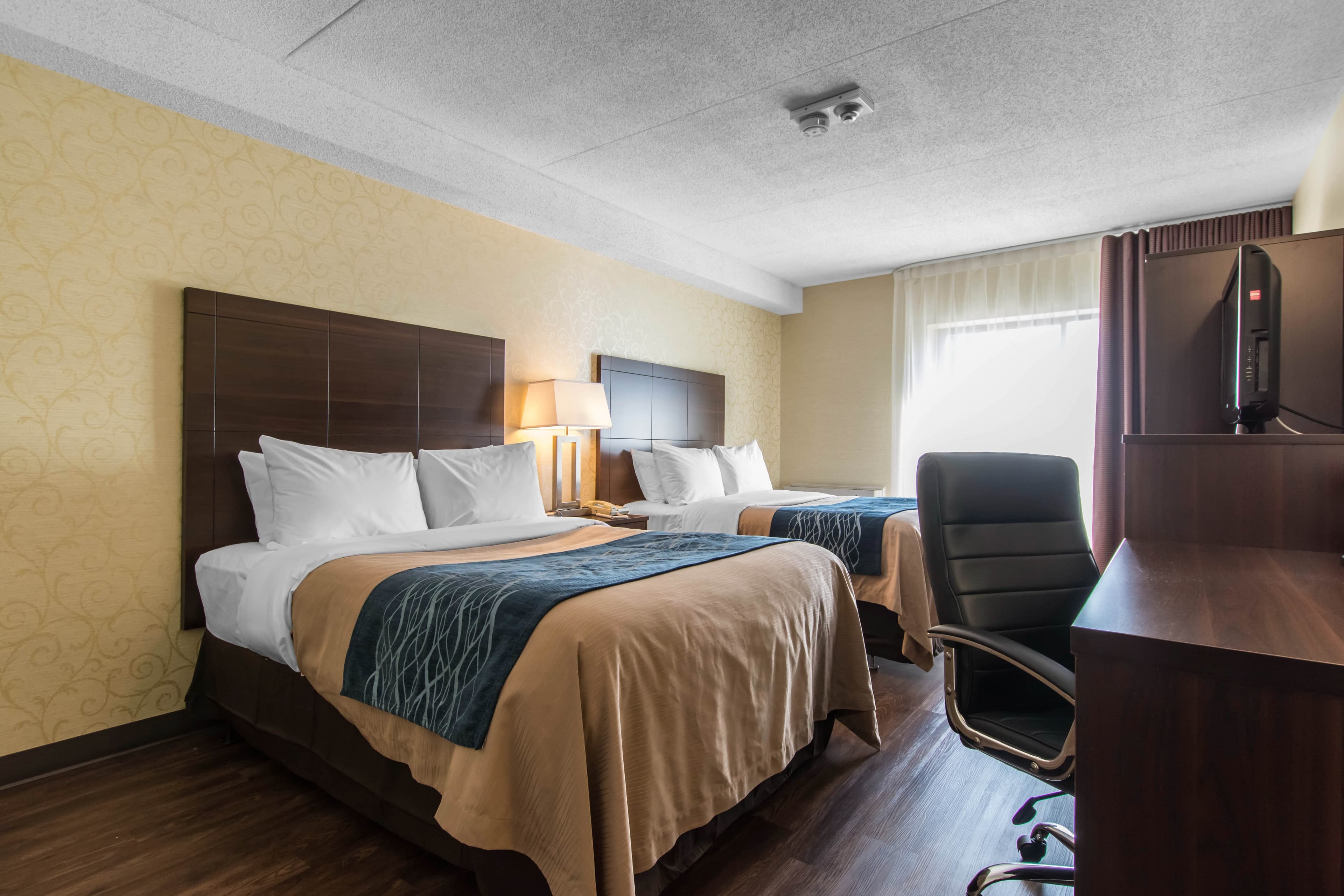 Comfort Inn — 24