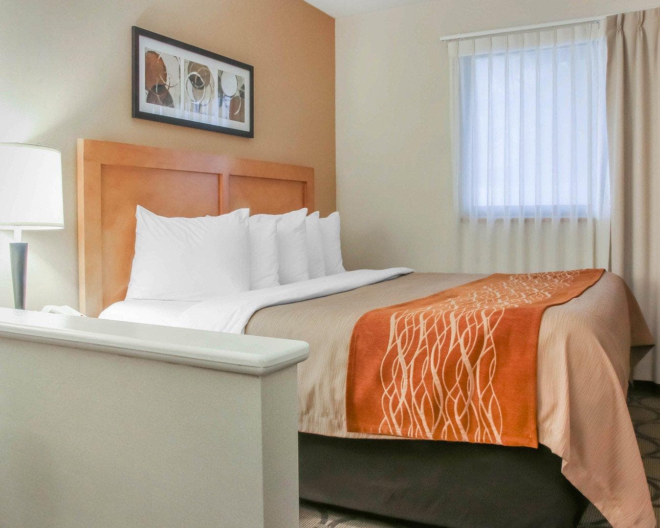 Comfort Inn South — 12