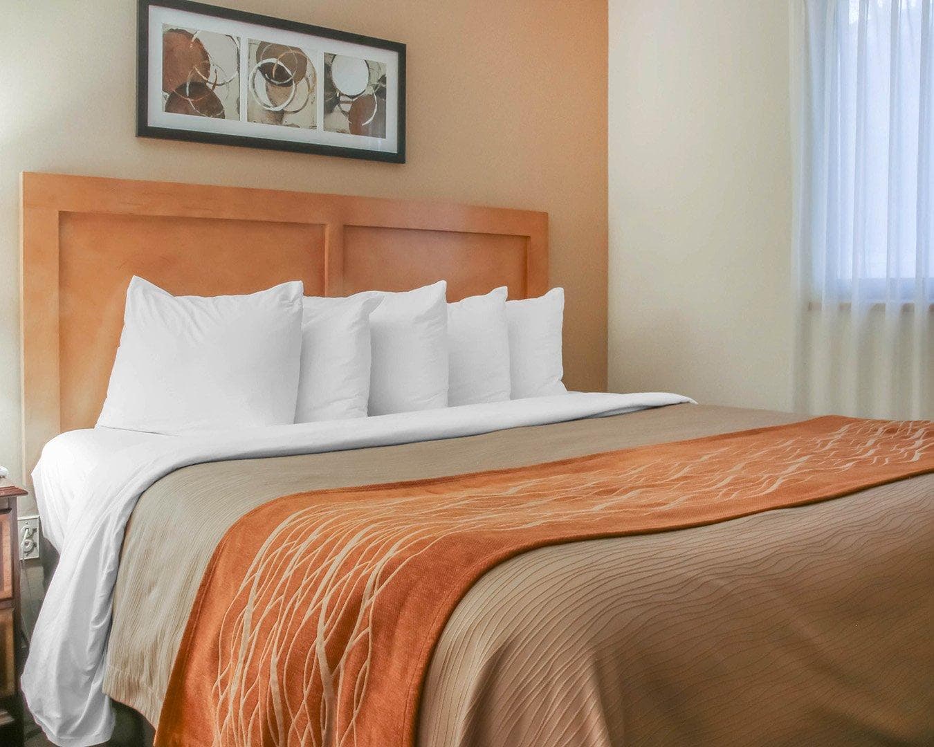 Comfort Inn South — 14