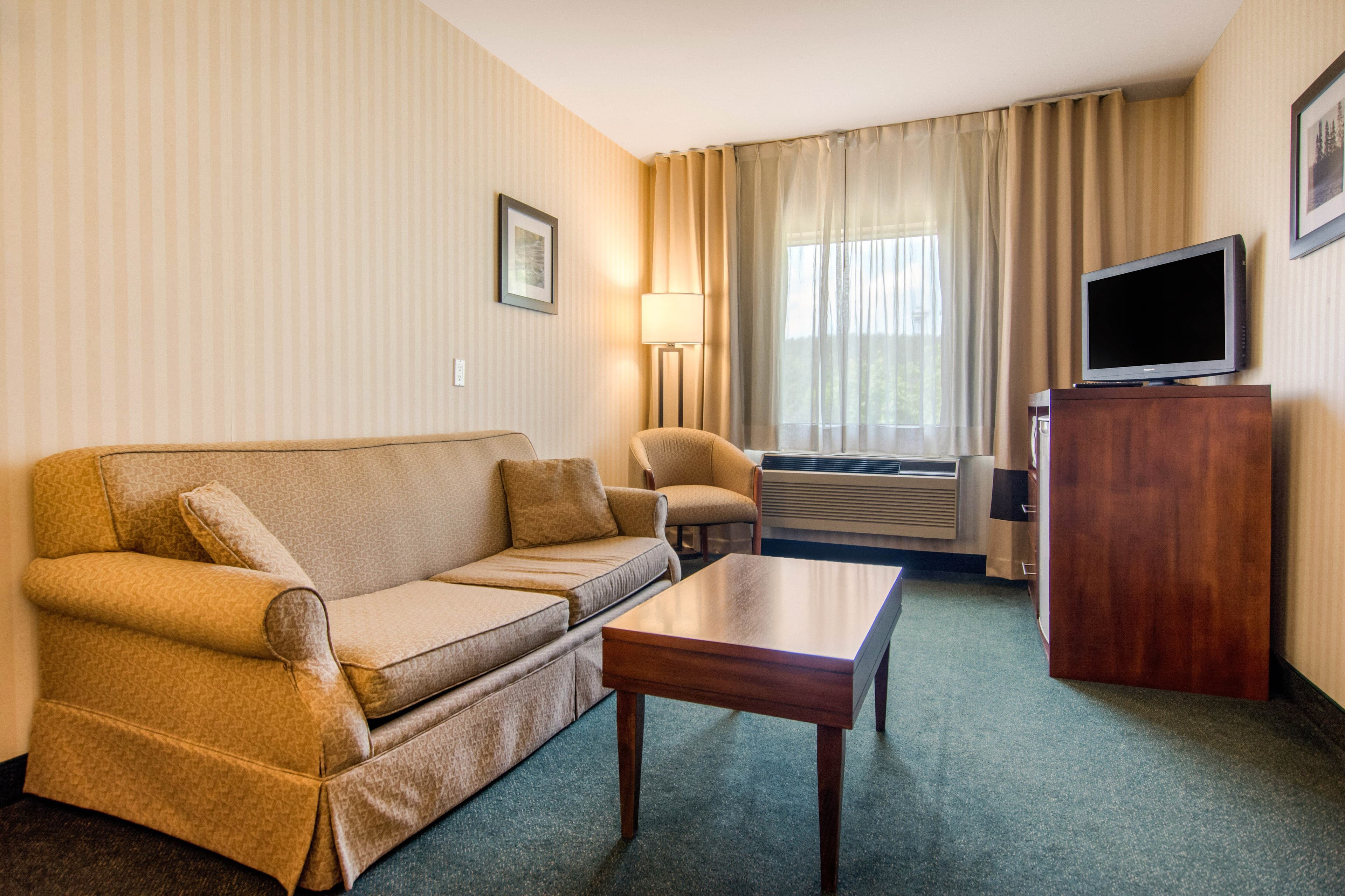Comfort Inn & Suites — 7