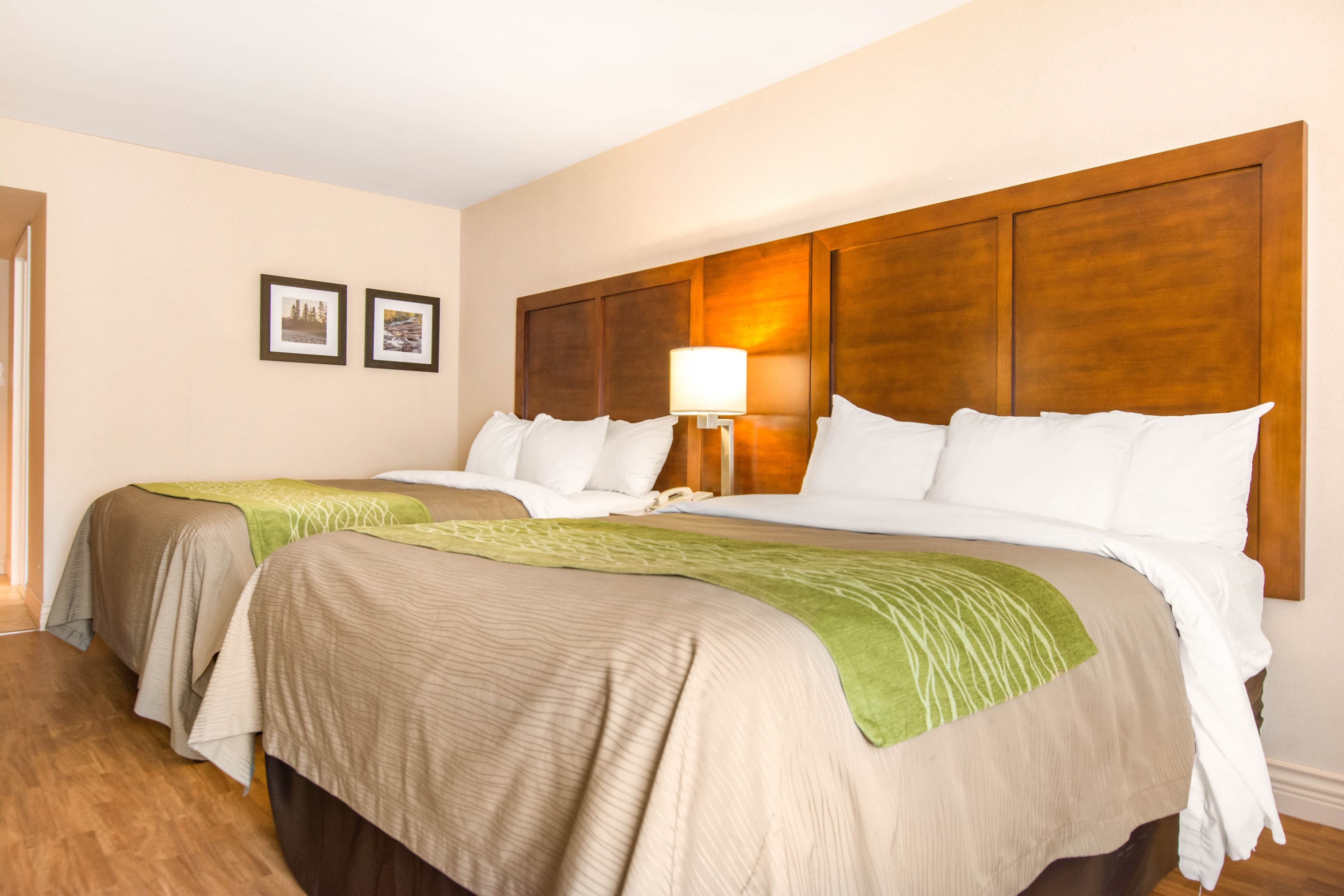 Comfort Inn & Suites — 24
