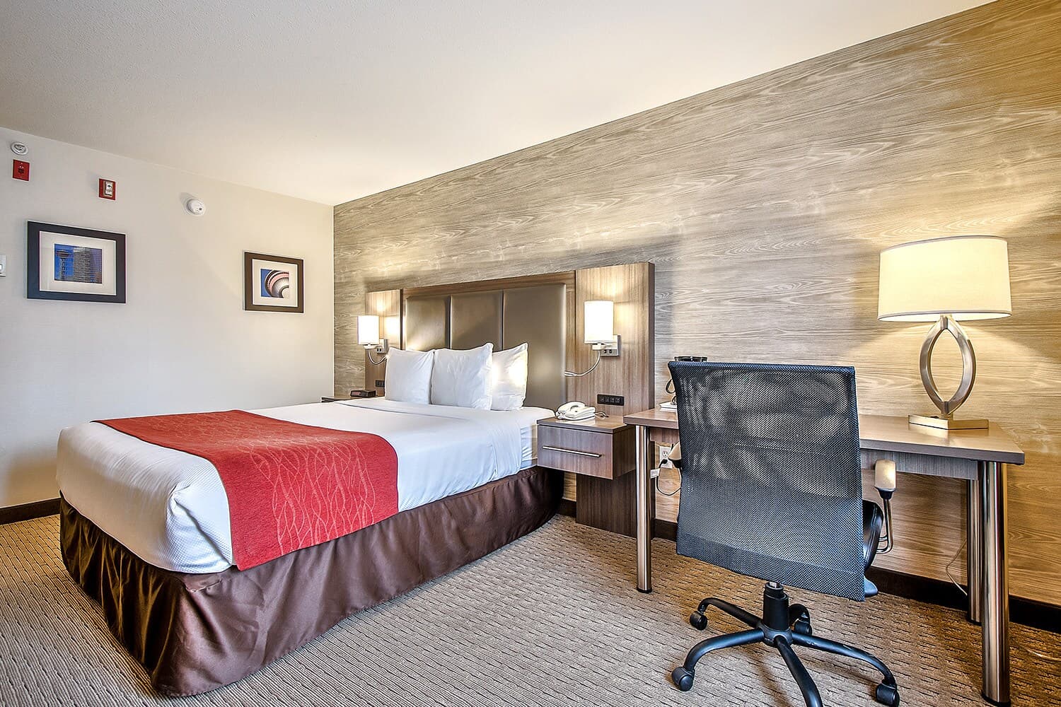 Comfort Inn & Suites South - Image 2