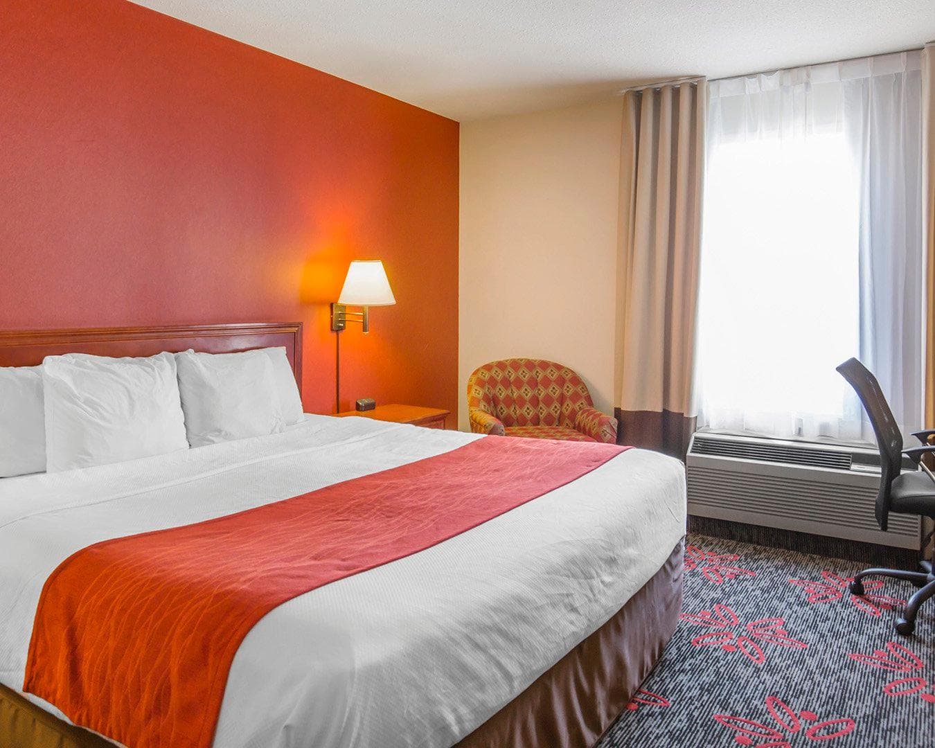 Comfort Inn & Suites University - Image 4