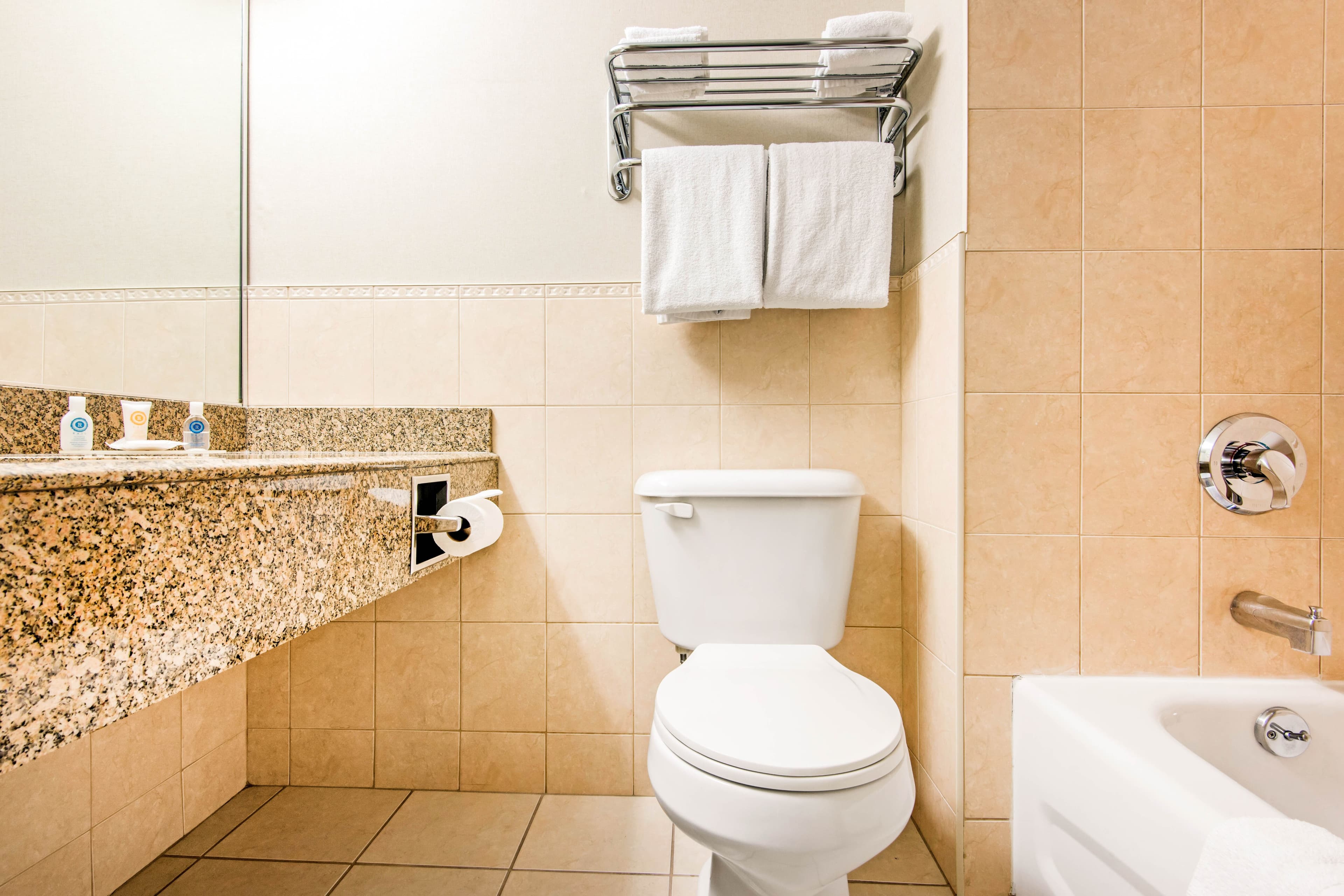 Comfort Inn Fallsview — 8