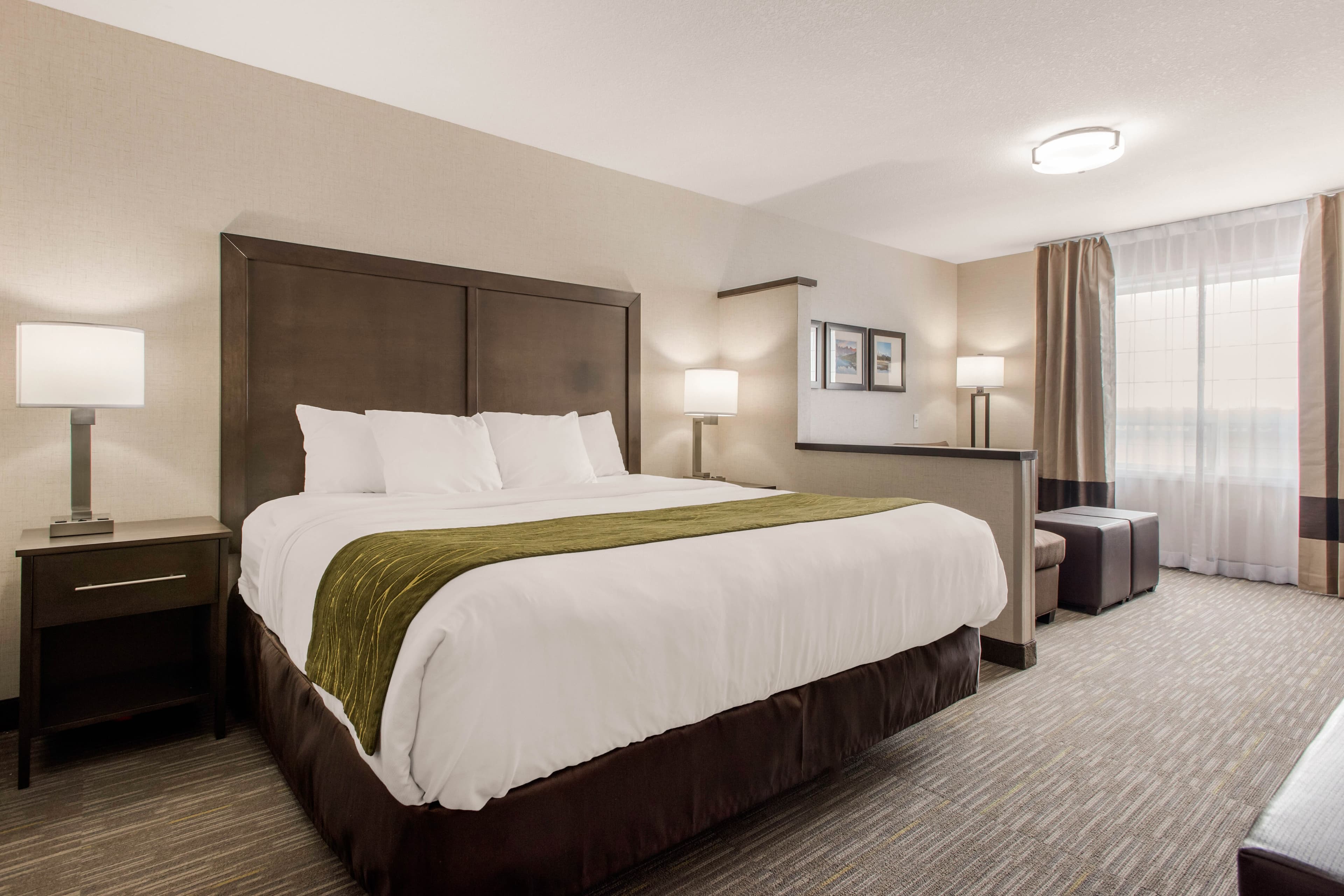 Comfort Inn & Suites — 19