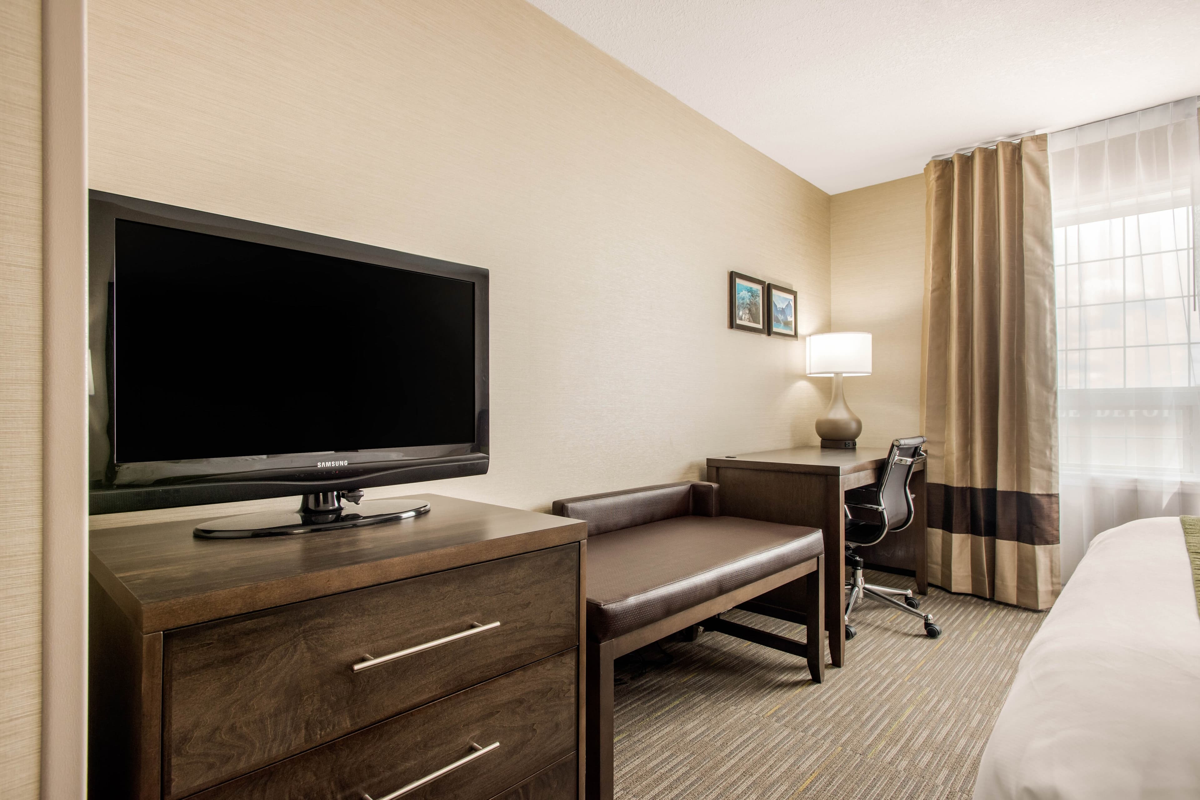 Comfort Inn & Suites — 28