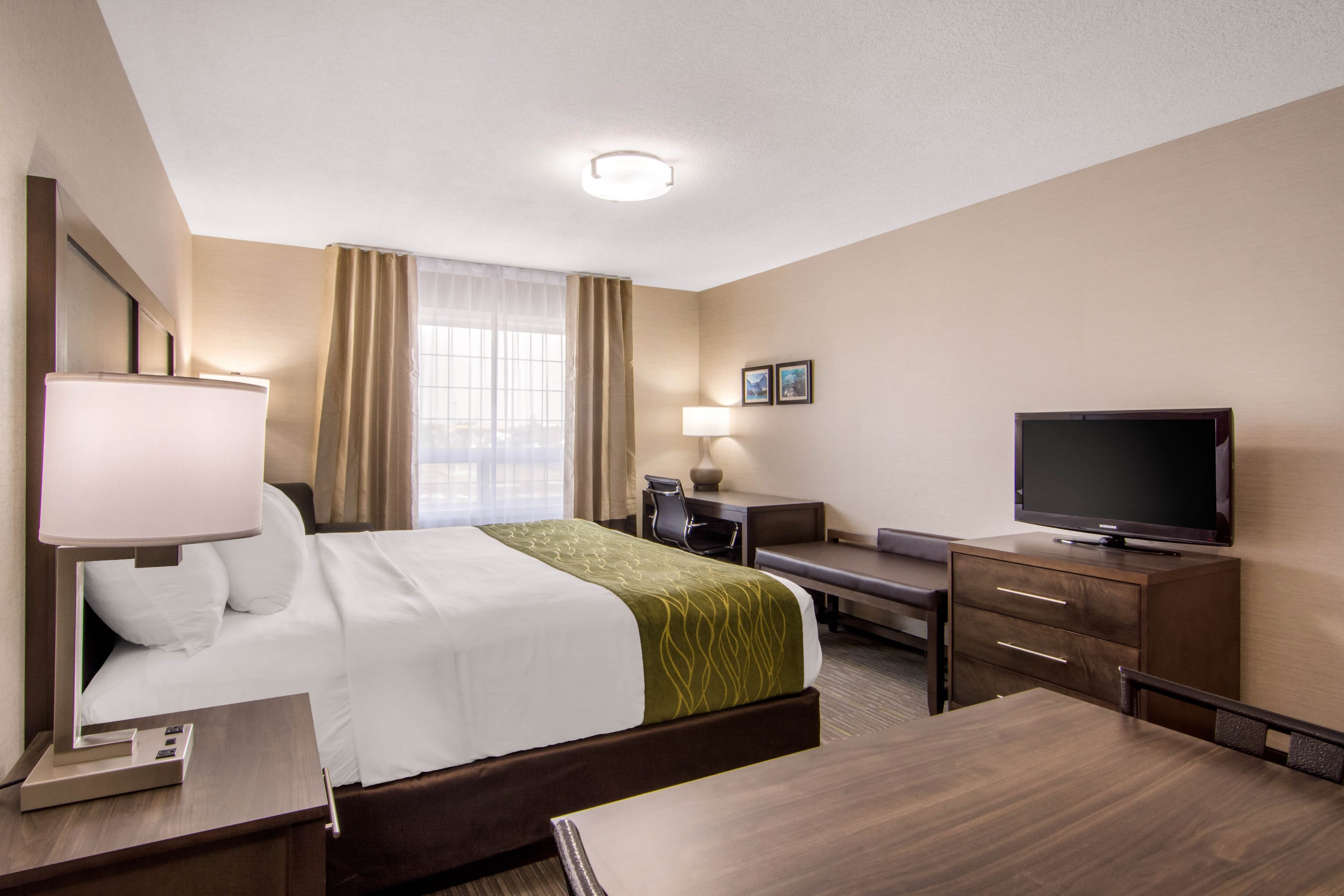 Comfort Inn & Suites — 10
