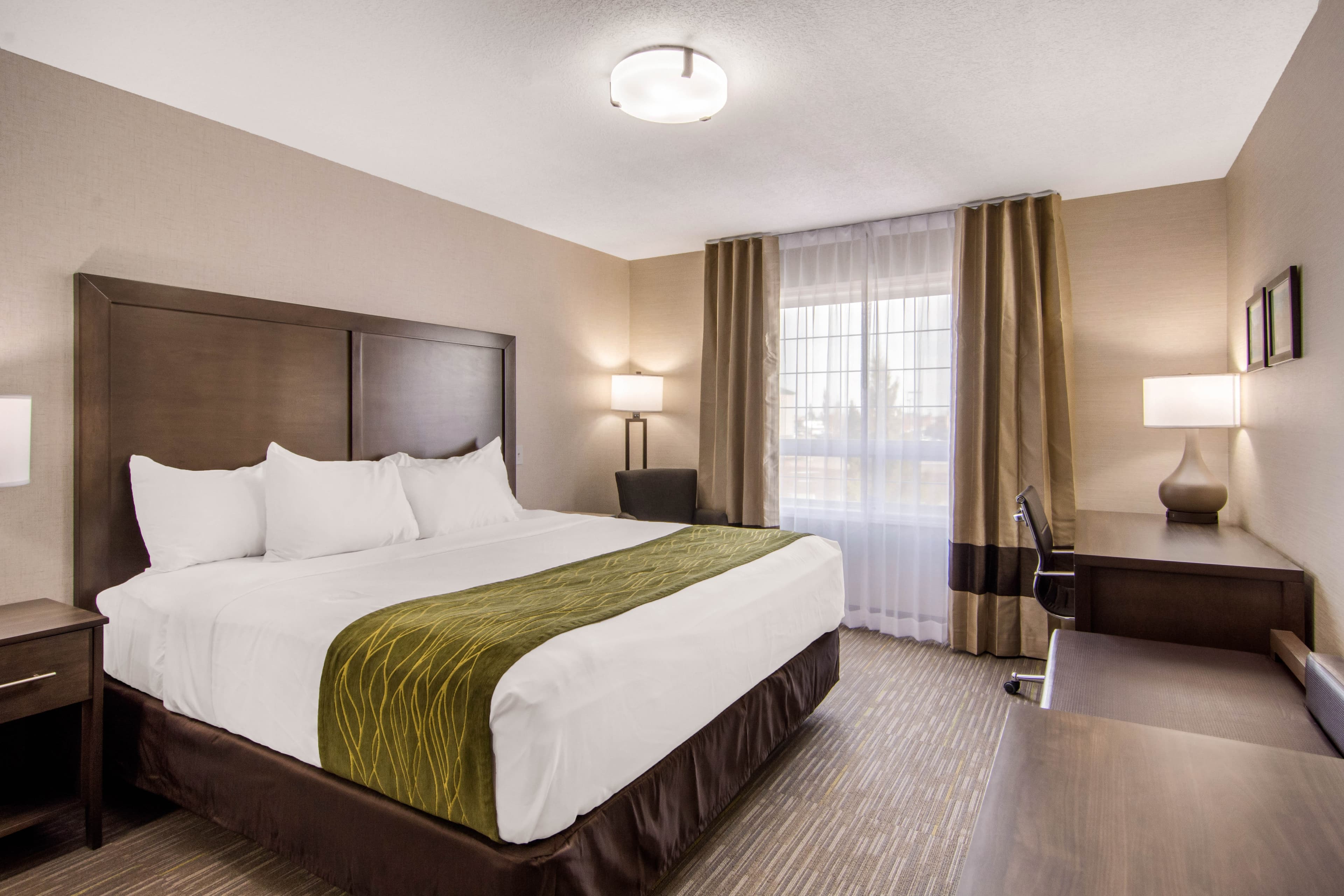 Comfort Inn & Suites — 11