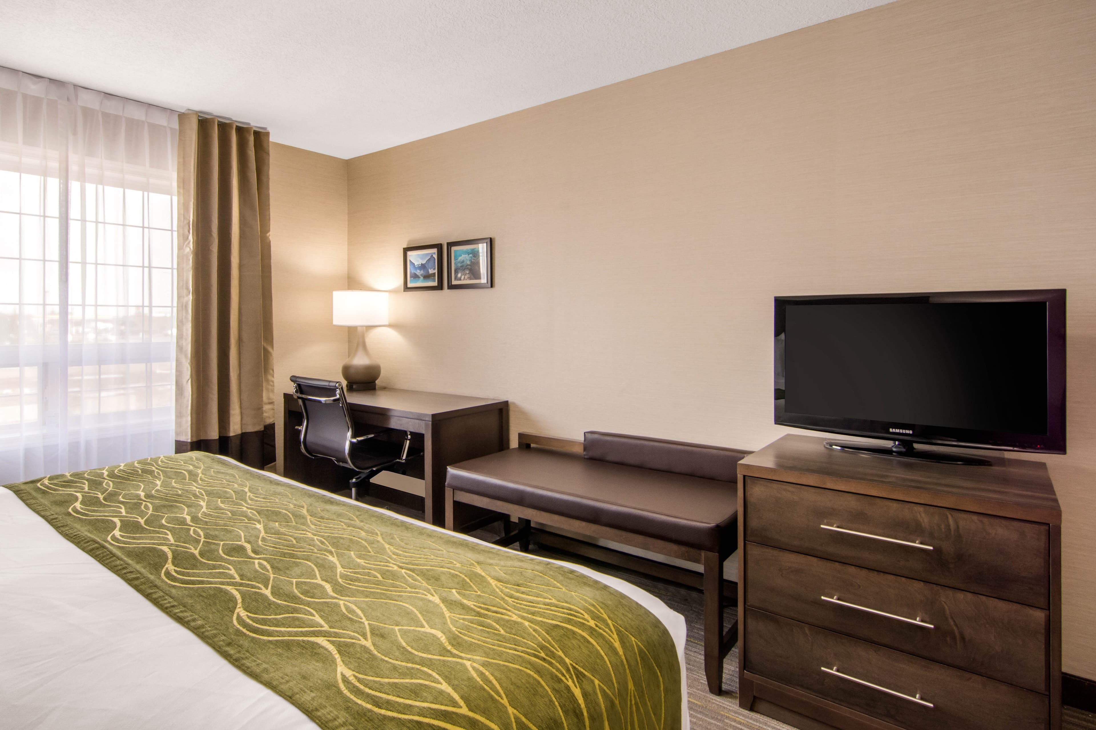 Comfort Inn & Suites — 15