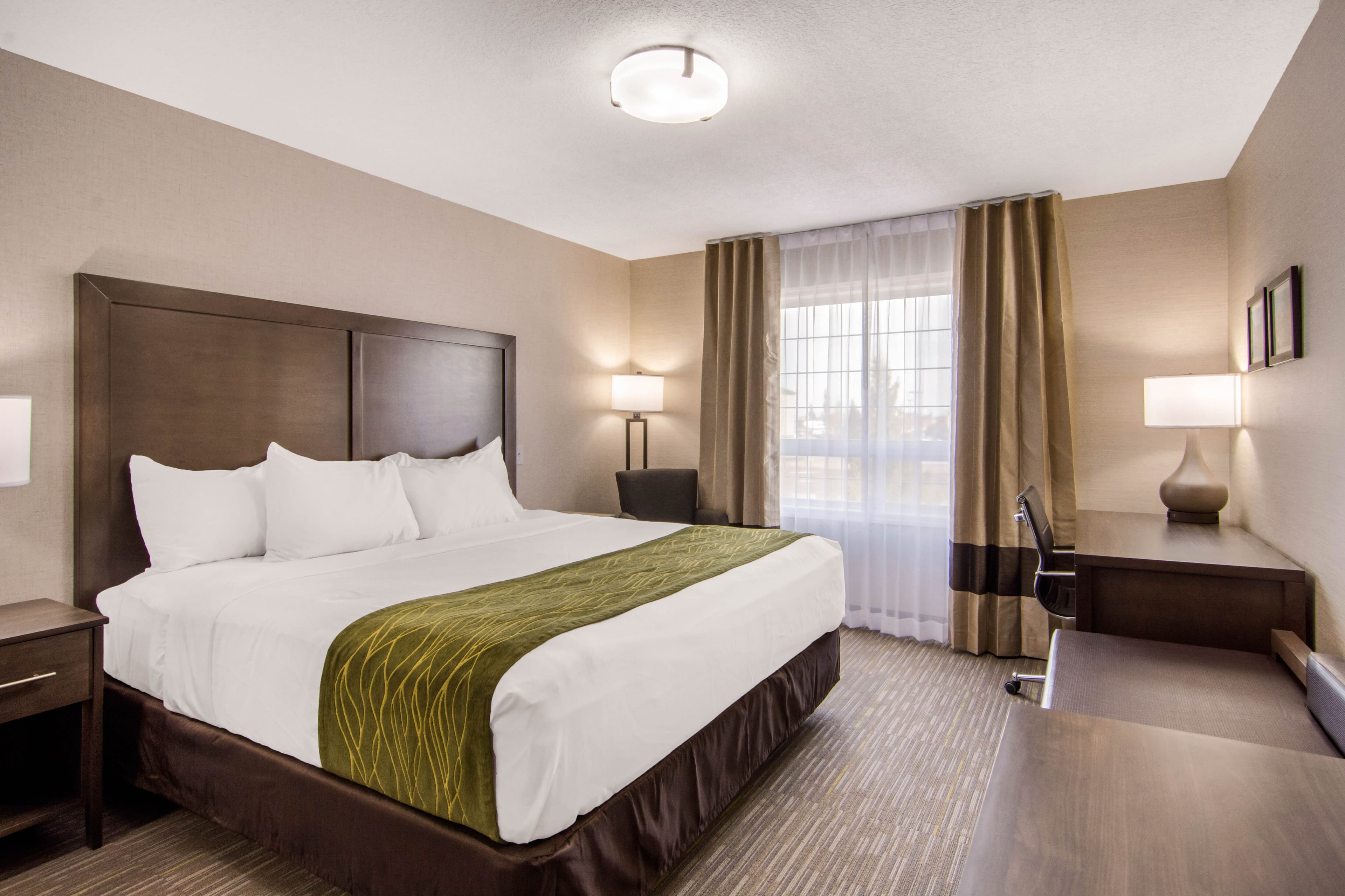 Comfort Inn & Suites — 9