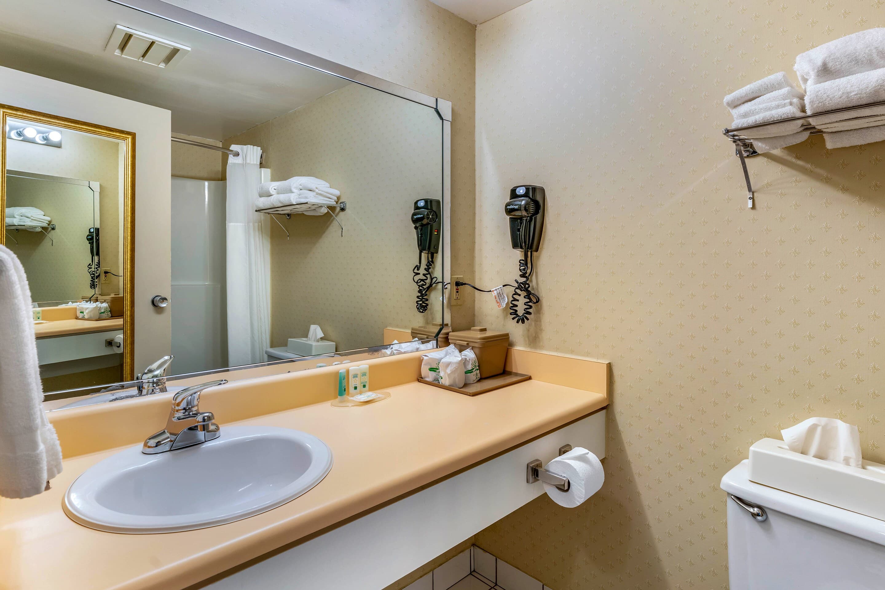 Quality Hotel & Suites — 11