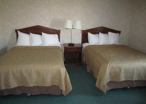 Quality Inn - Image 3