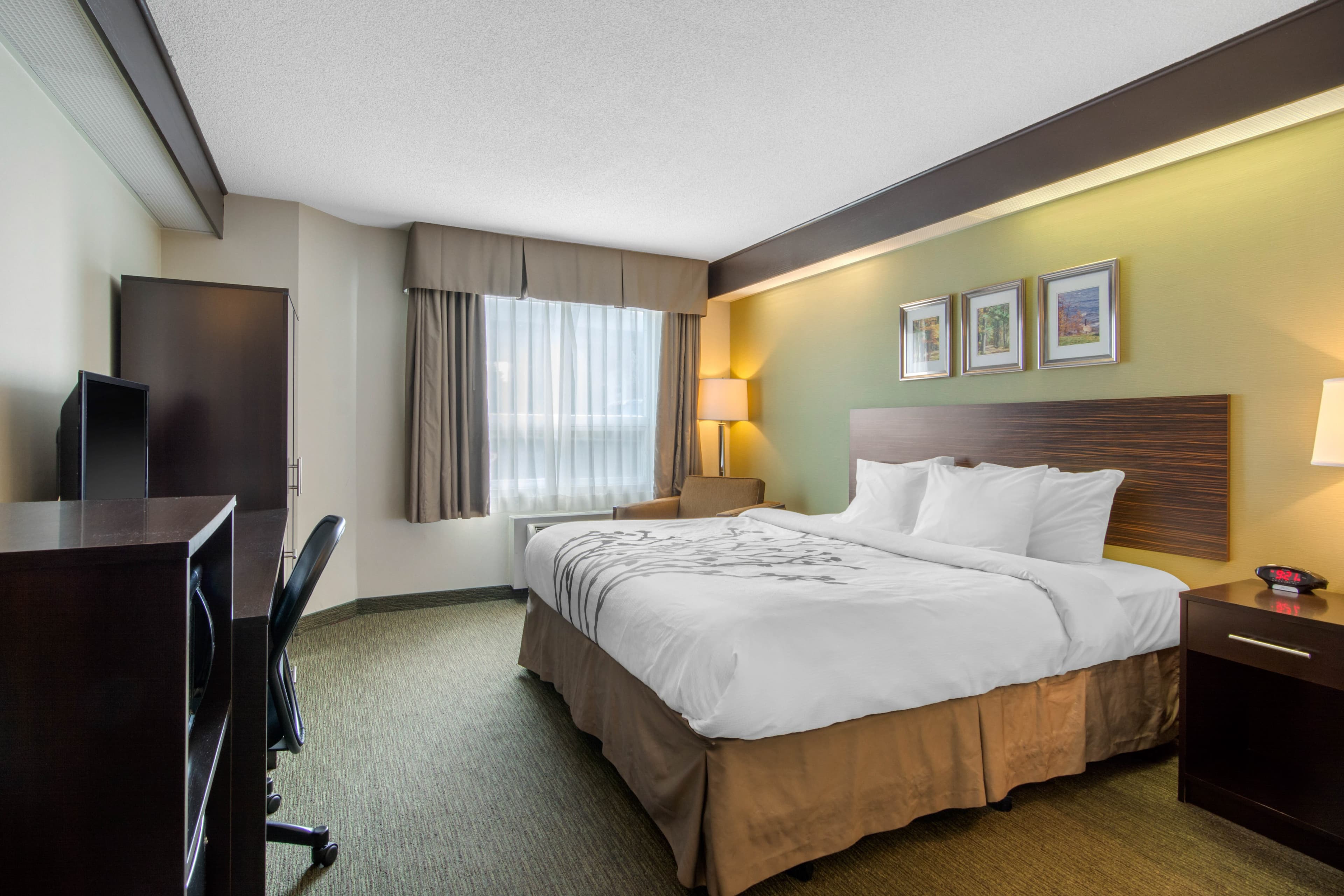 Sleep Inn - Image 1