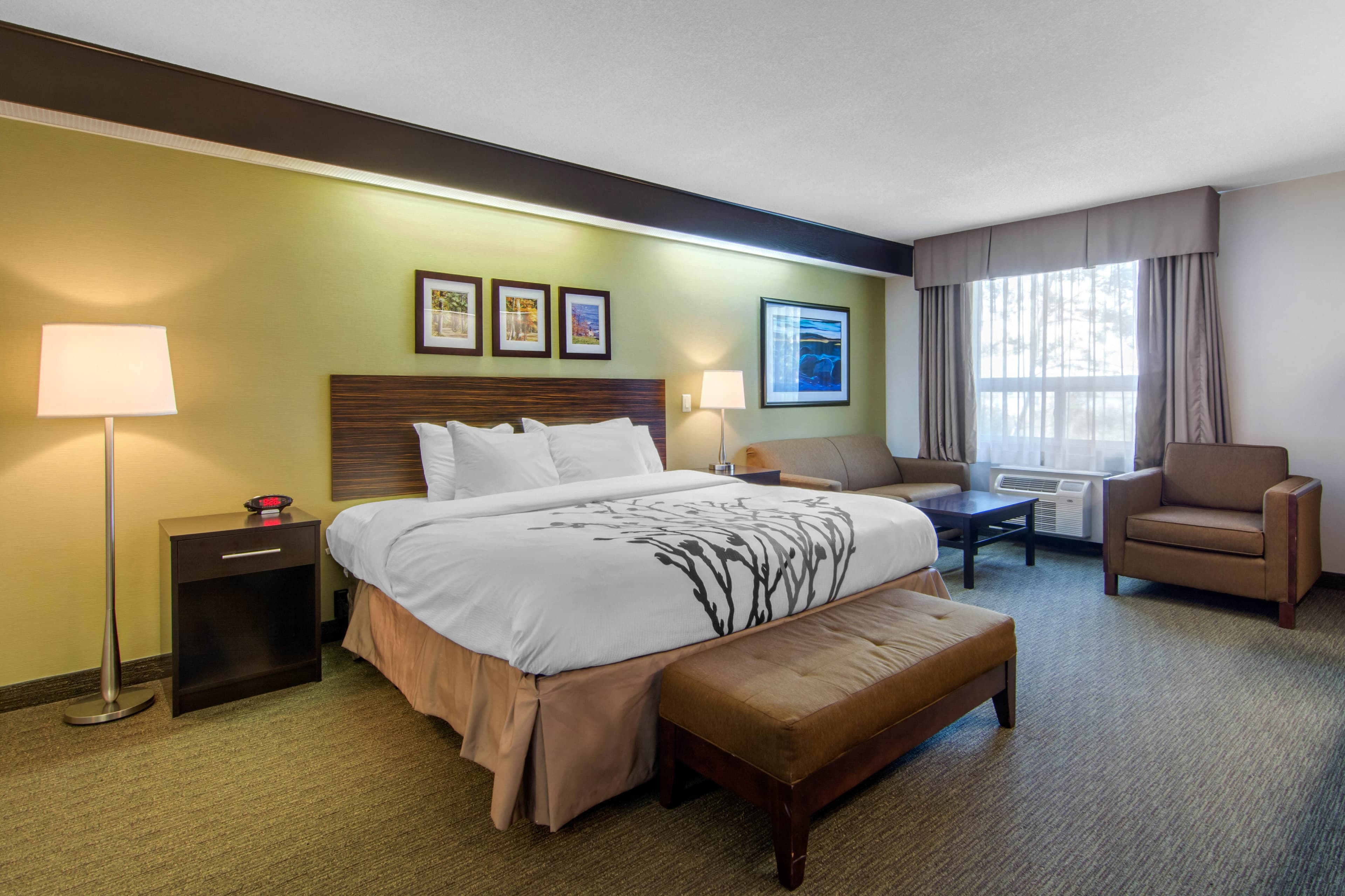 Sleep Inn — 6
