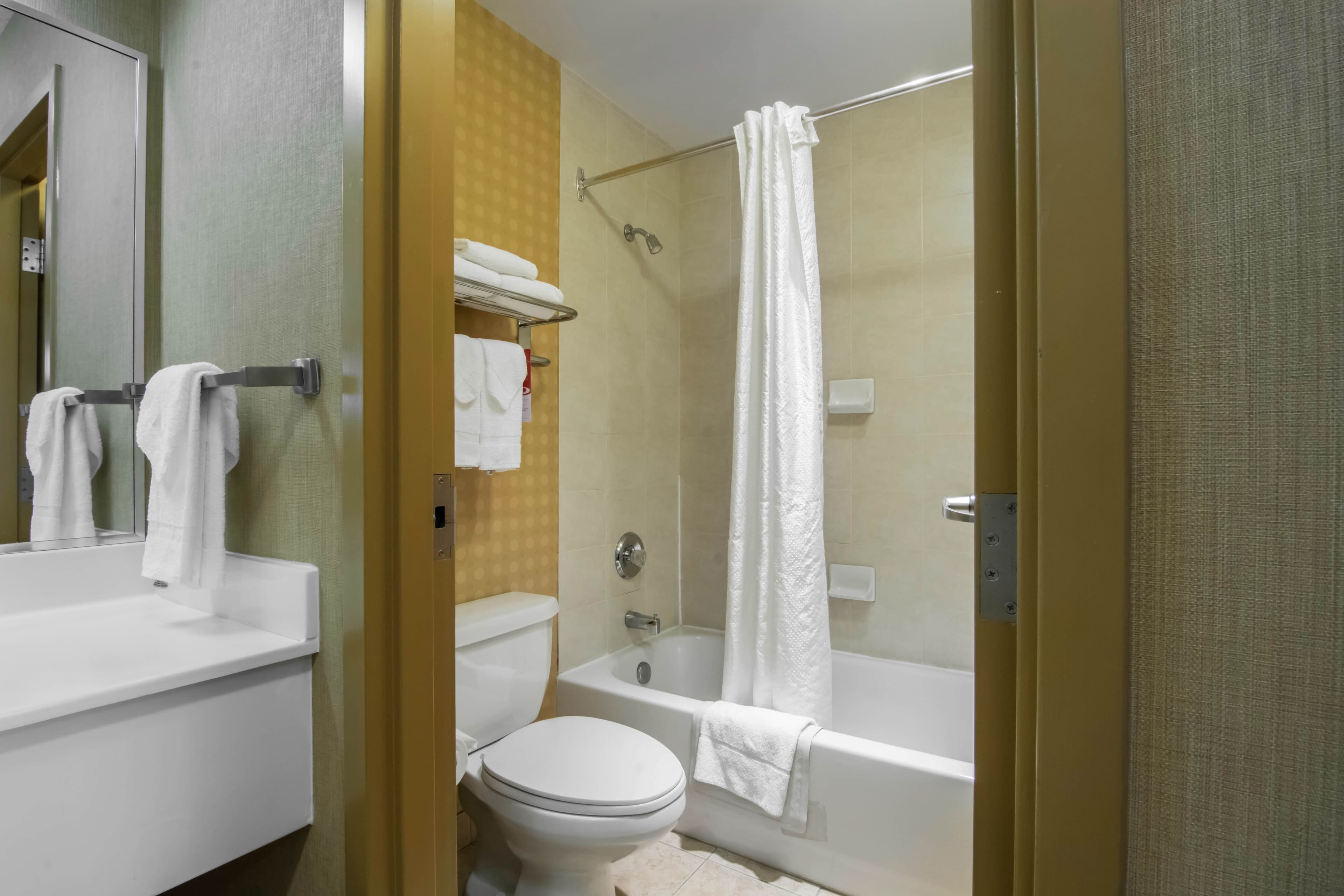 Econo Lodge Inn & Suites University — 58