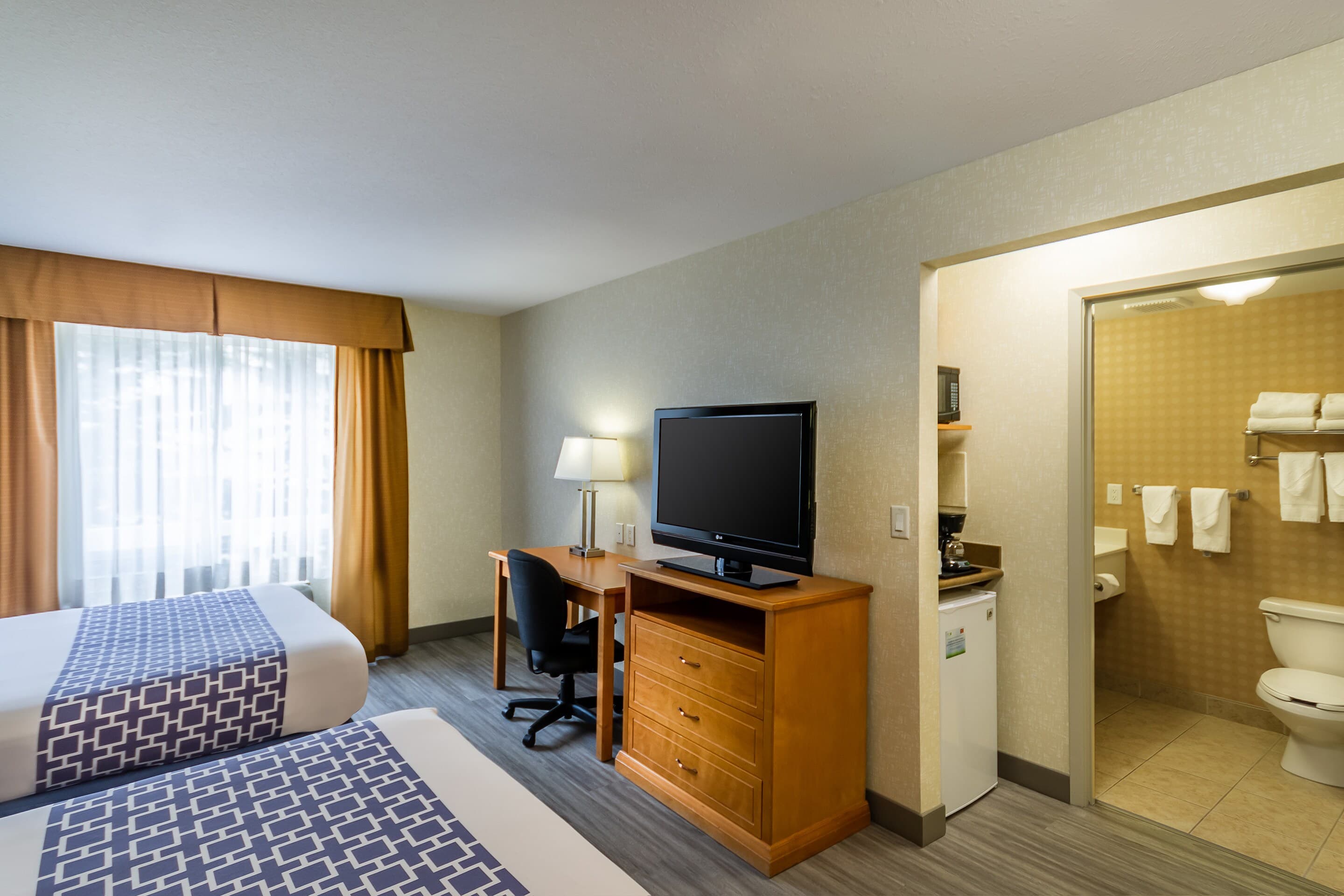 Econo Lodge Inn & Suites University — 65