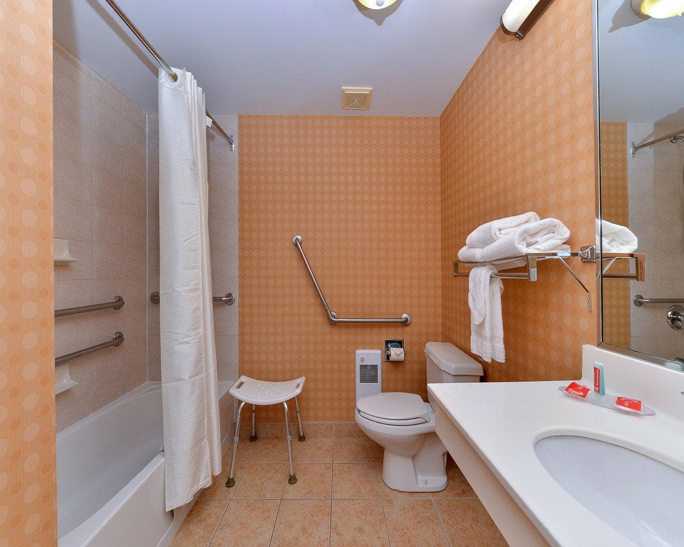 Econo Lodge Inn & Suites University — 43